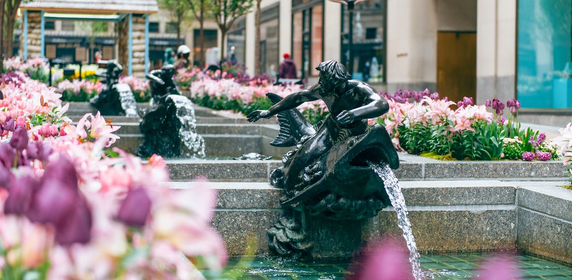 Channel Gardens