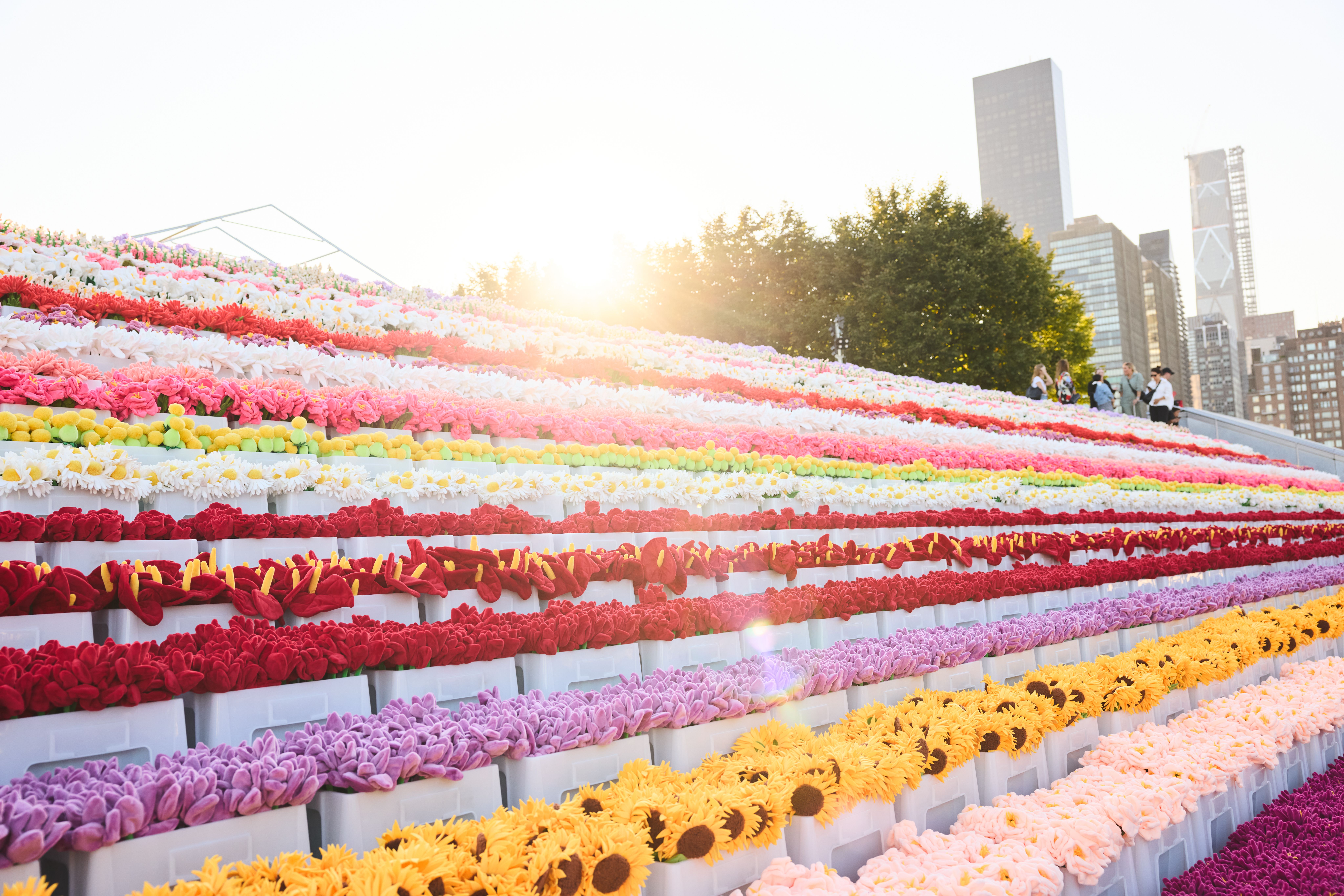 Cj Hendry Flower Market