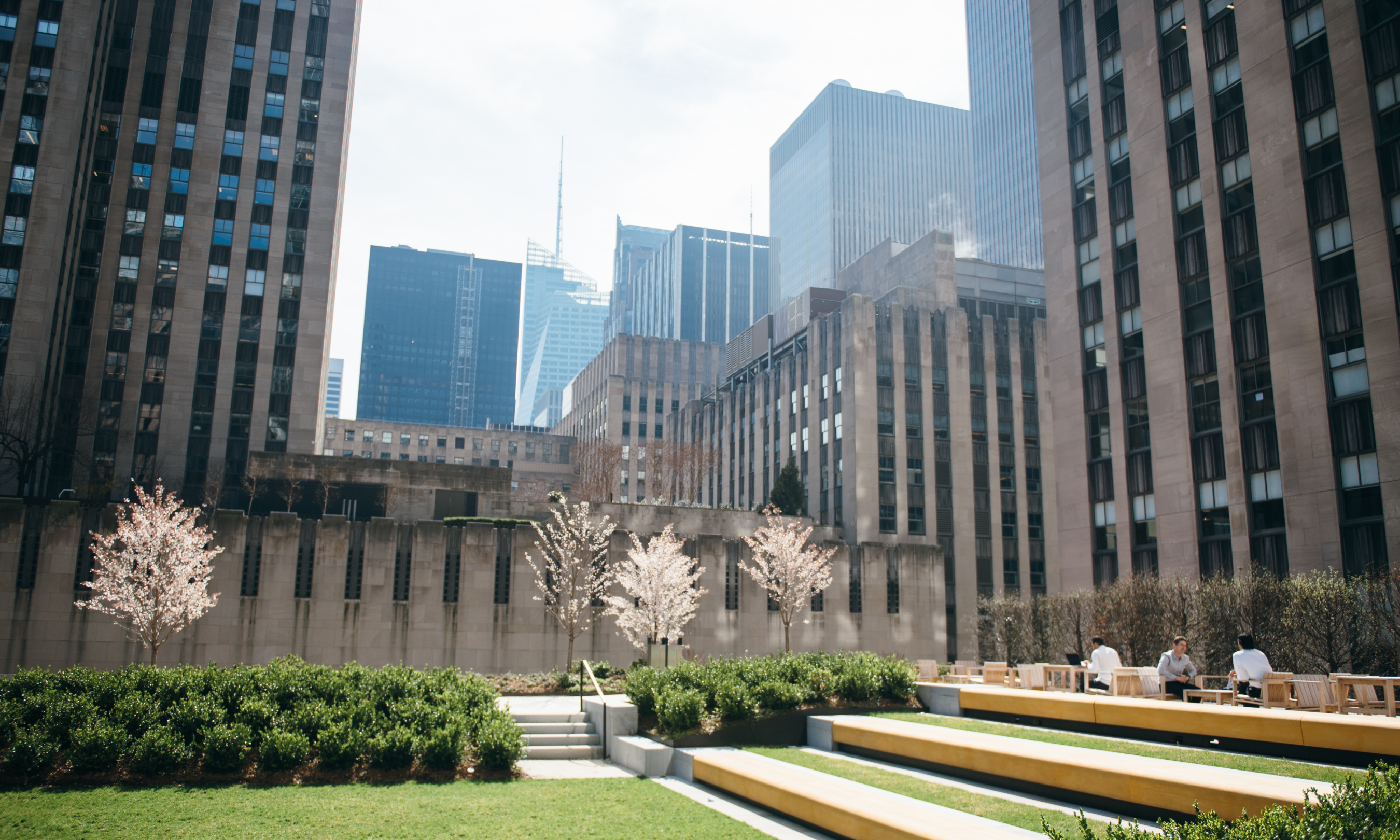 In-laid stone steps and sitting area on the Great Lawn at Radio Park