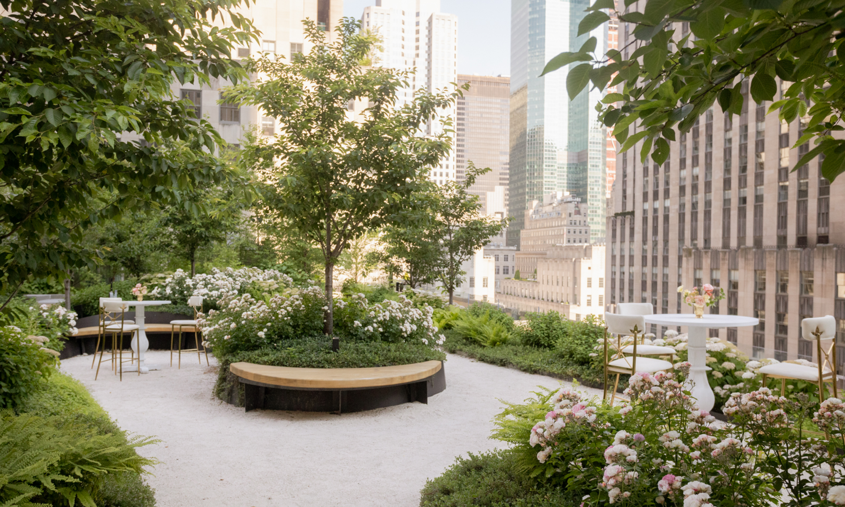 Seating area at Radio Park surrounded by cherry blossom trees