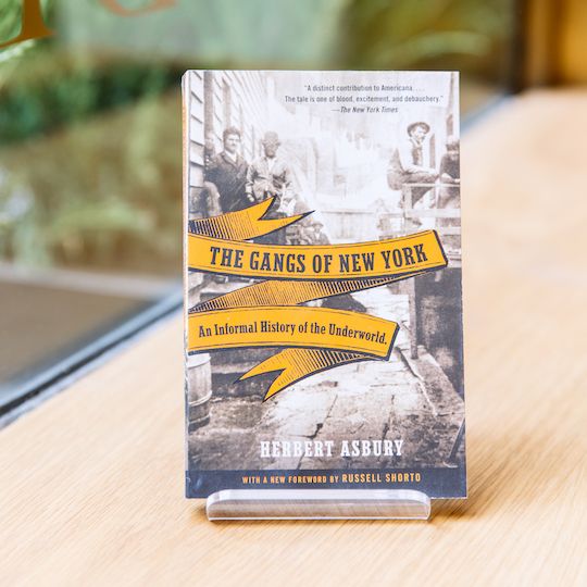 "The Gangs of New York" by Herbert Asbury, available at McNally Jackson at Rockefeller Center