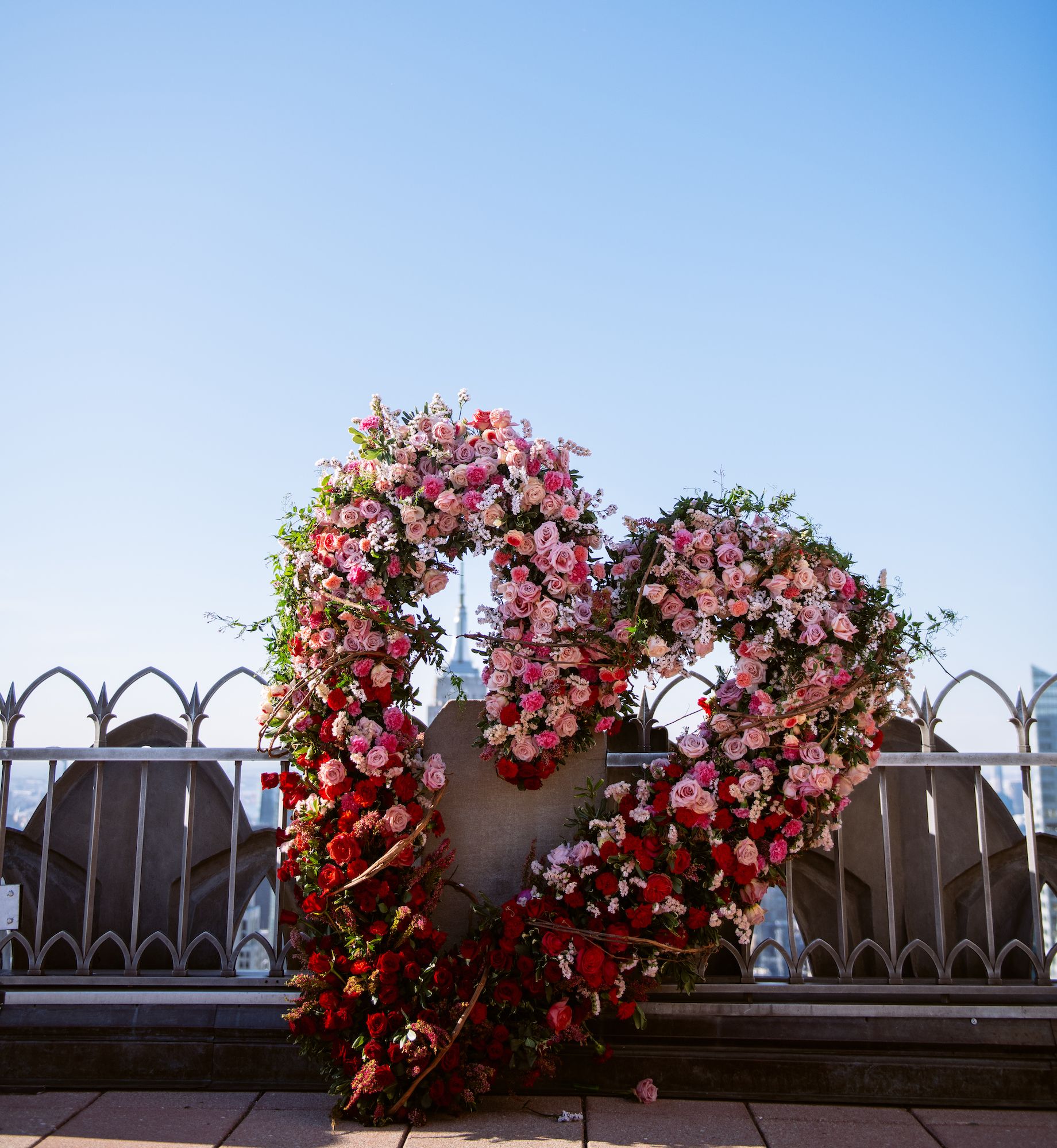 Flower Flash by Lewis Miller at Top of the Rock