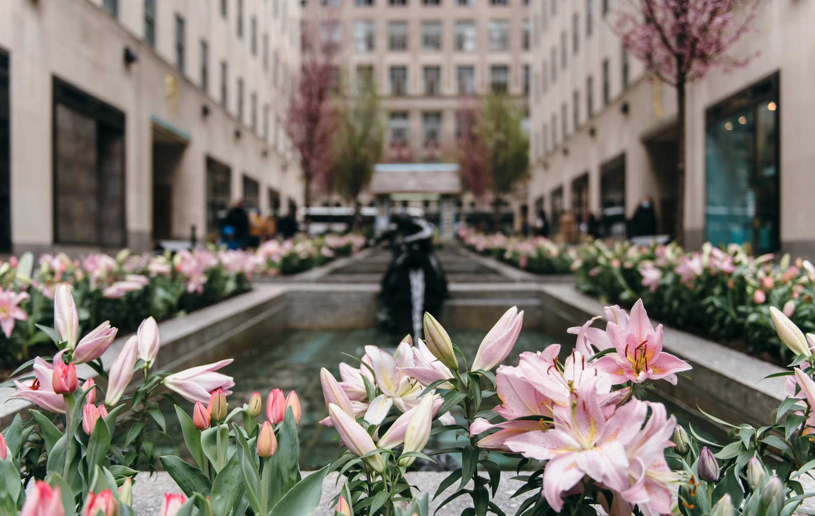 flowers in the channel gardens