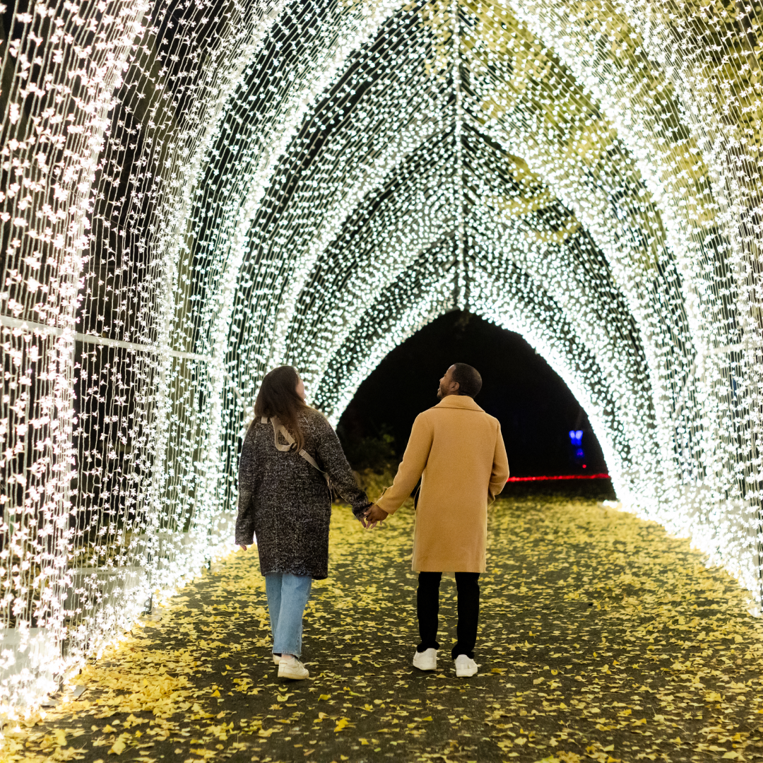 A couple walking through a tunnel lit up with twinkling lights at Brooklyn Botanic Gardens' Lightscape