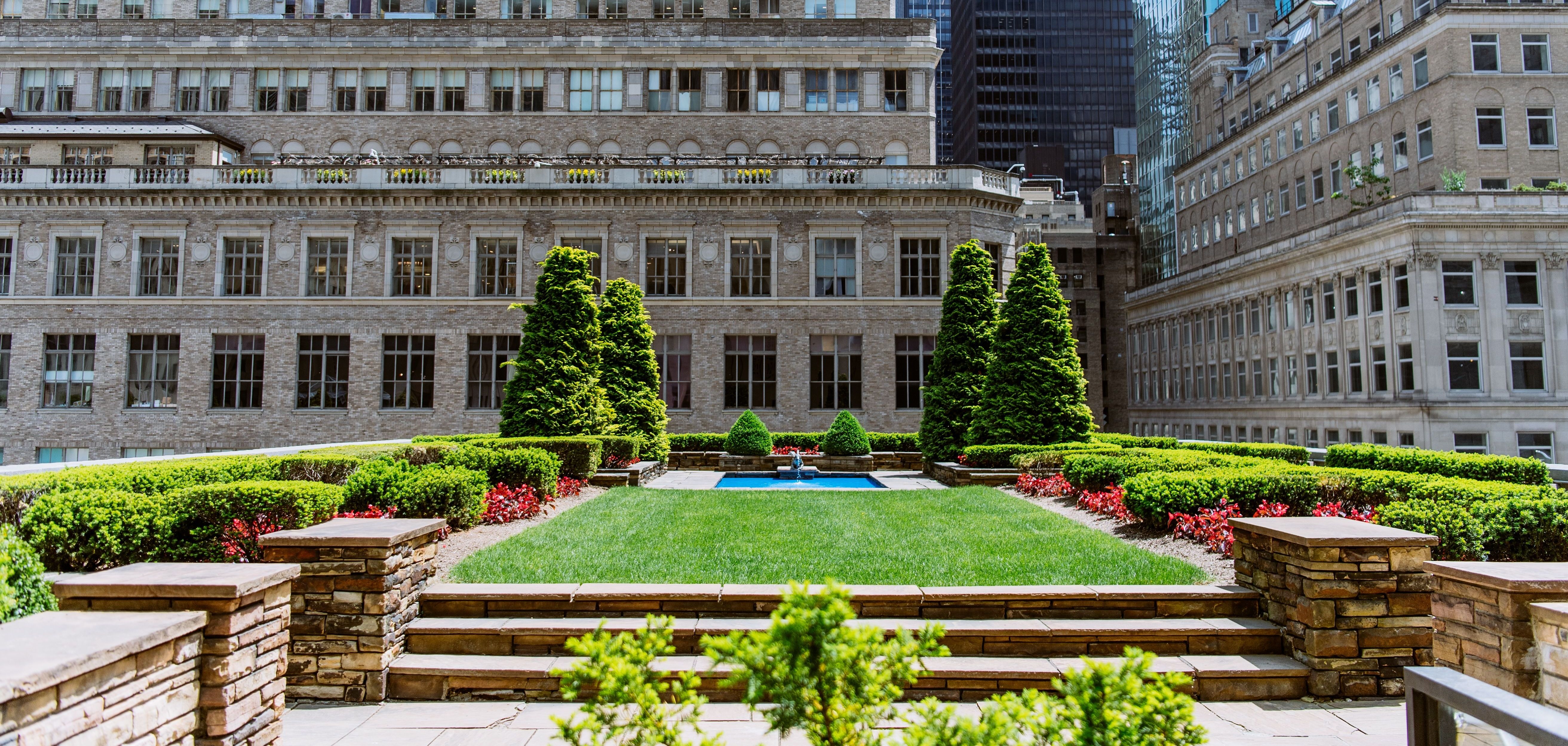 rooftop garden in the city