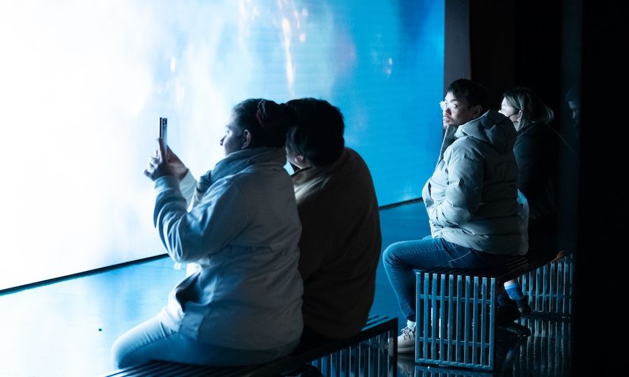 People viewing light projections at HERO's "Winter Forest of the Northern Lights"