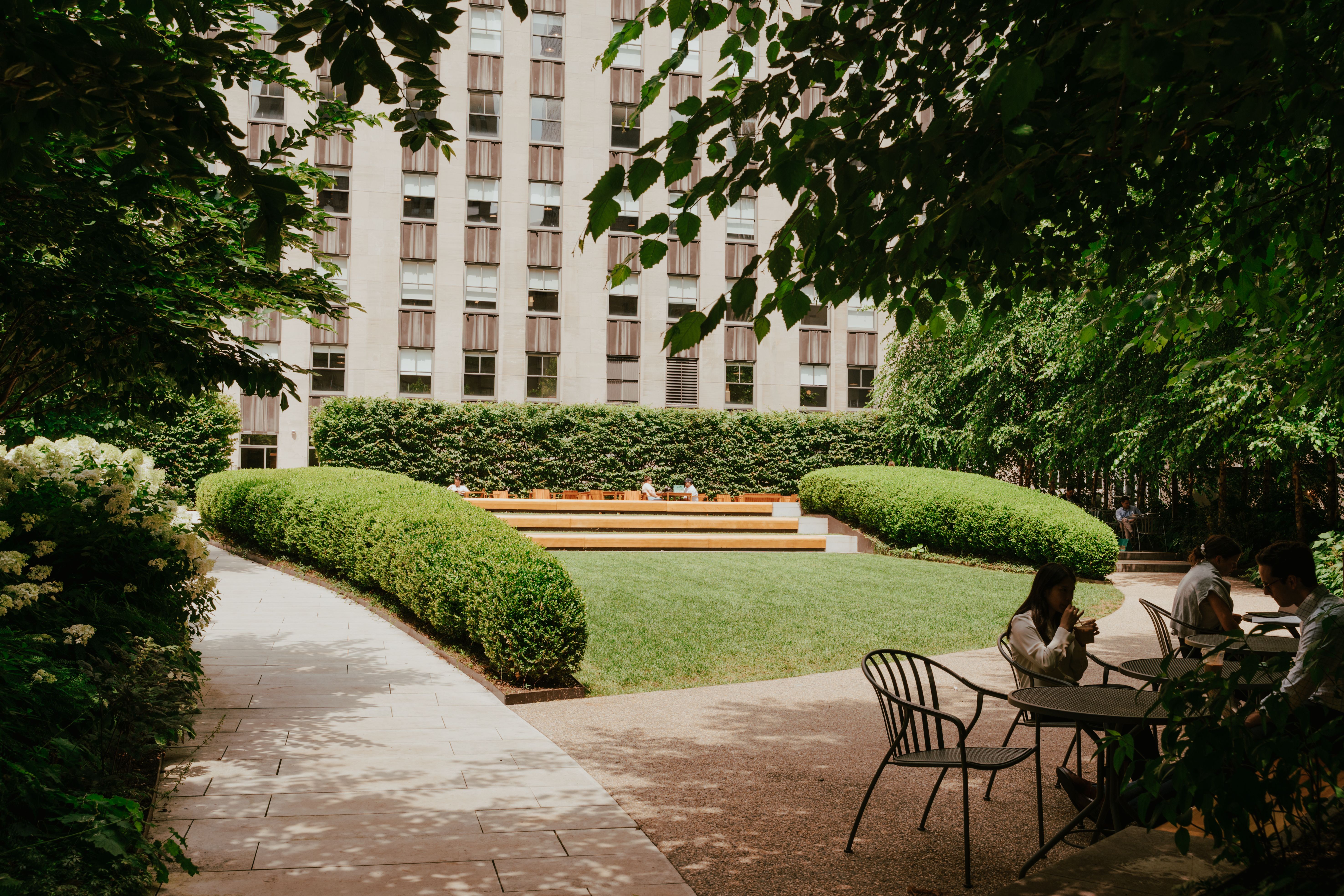 rooftop garden in the city