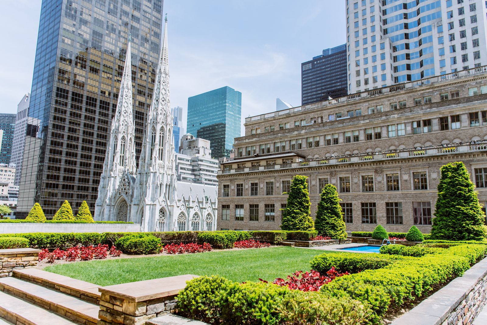 rooftop garden in city