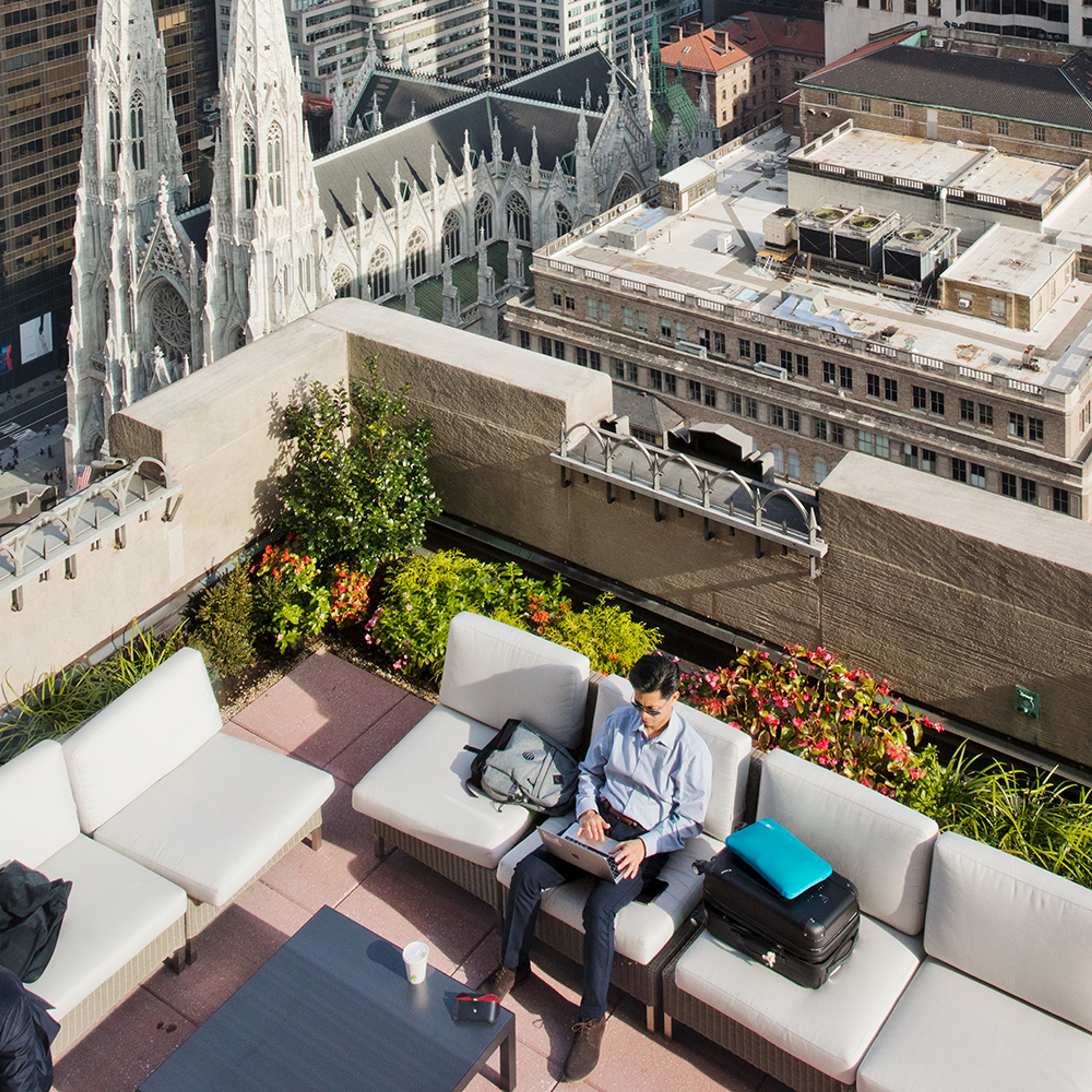 Dream it from the rooftops