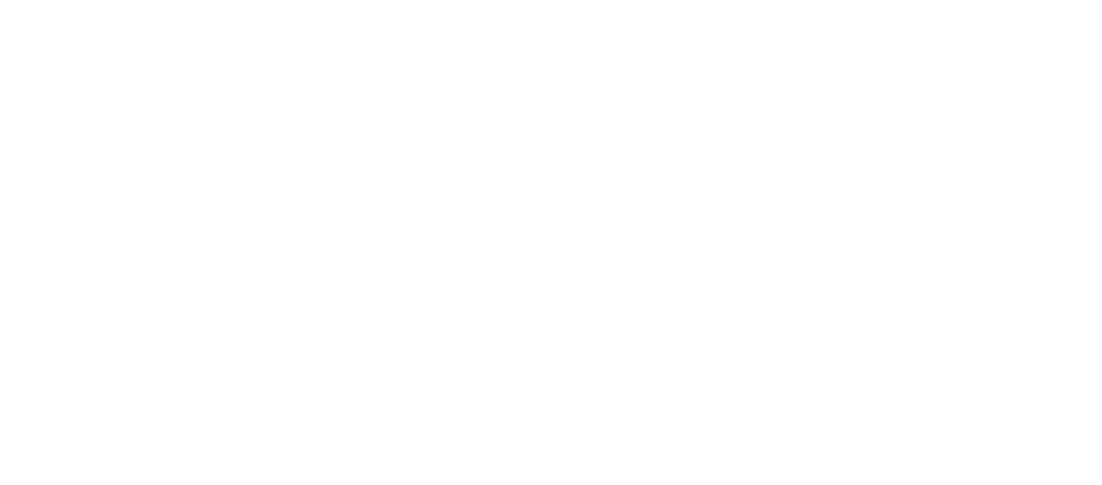 logo for zo