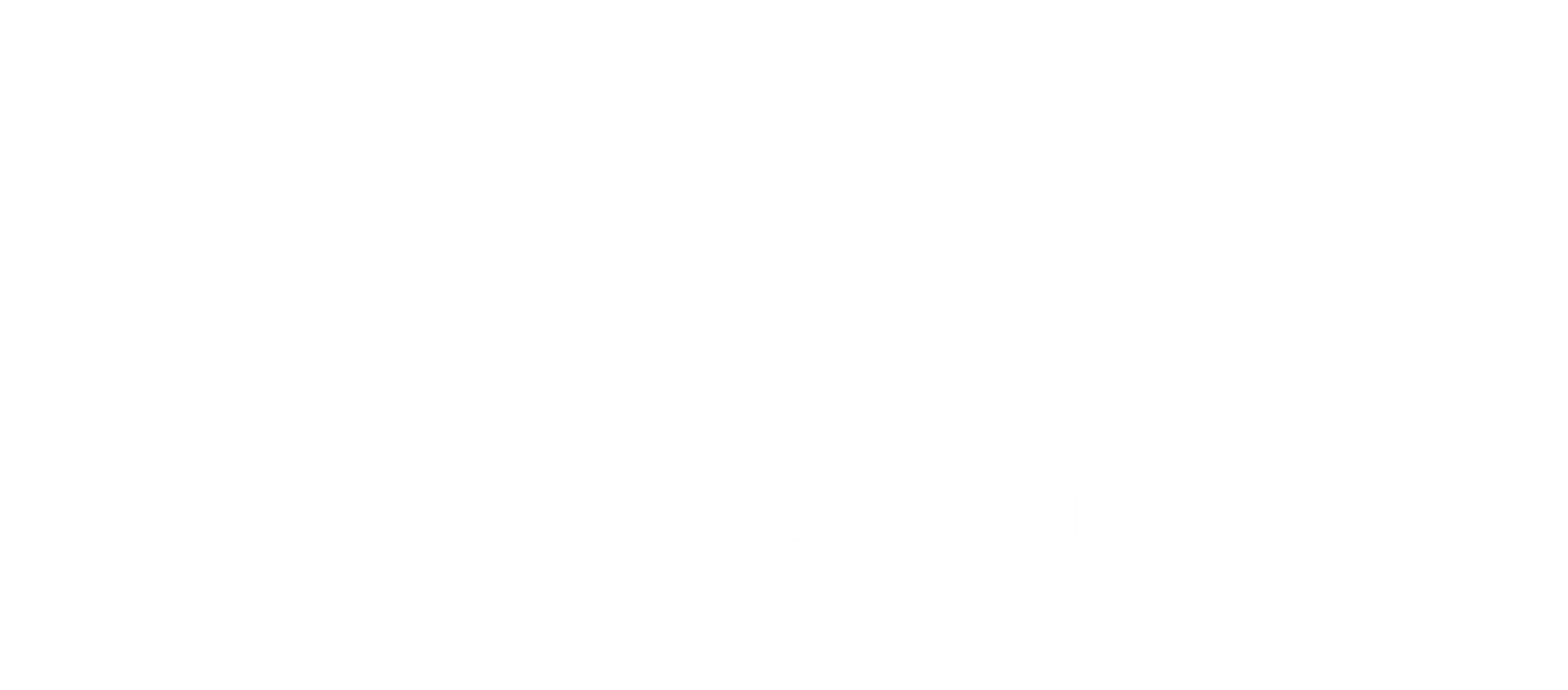 ZO is a Global Amenity Platform
