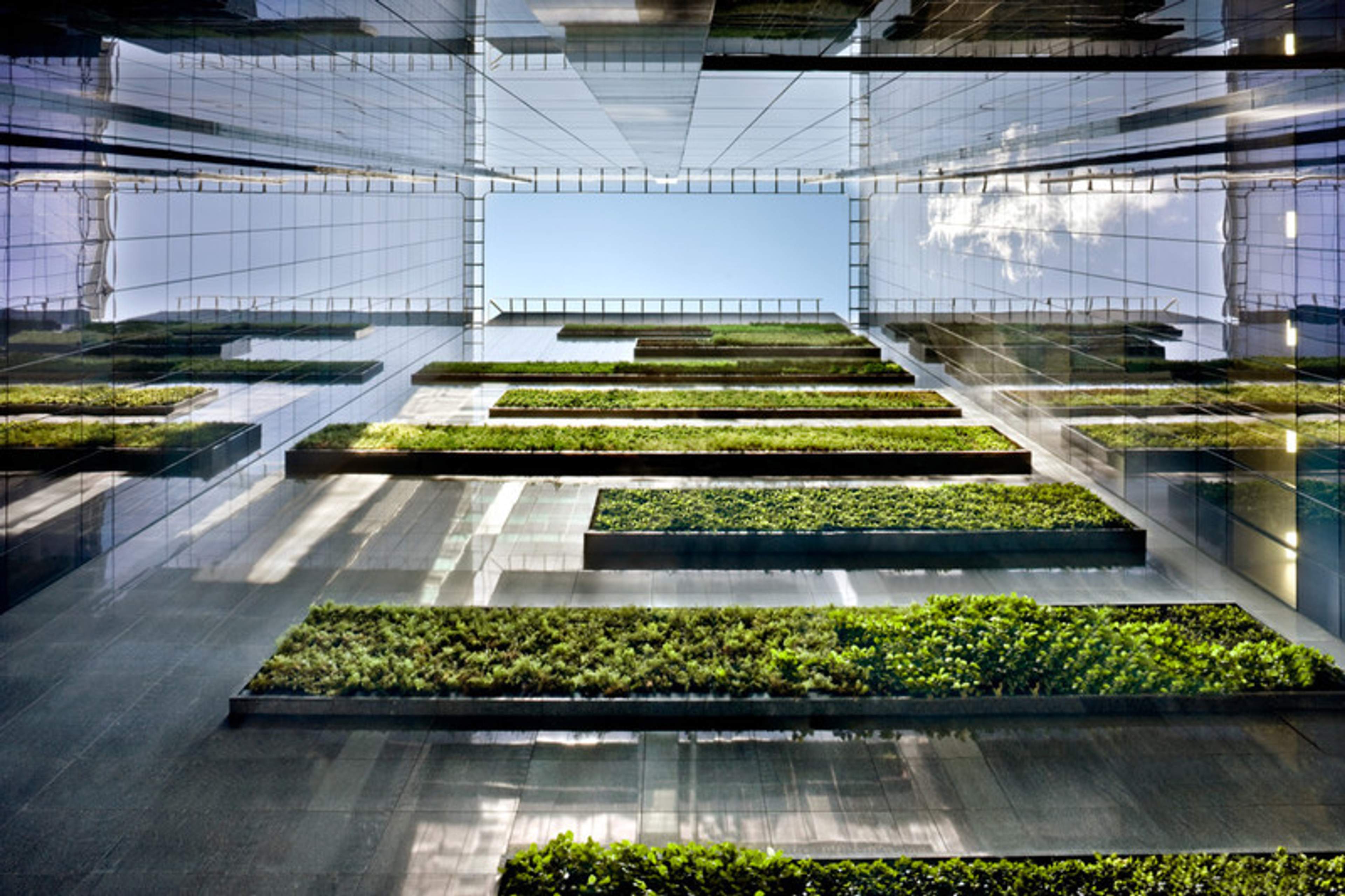 Healthy buildings