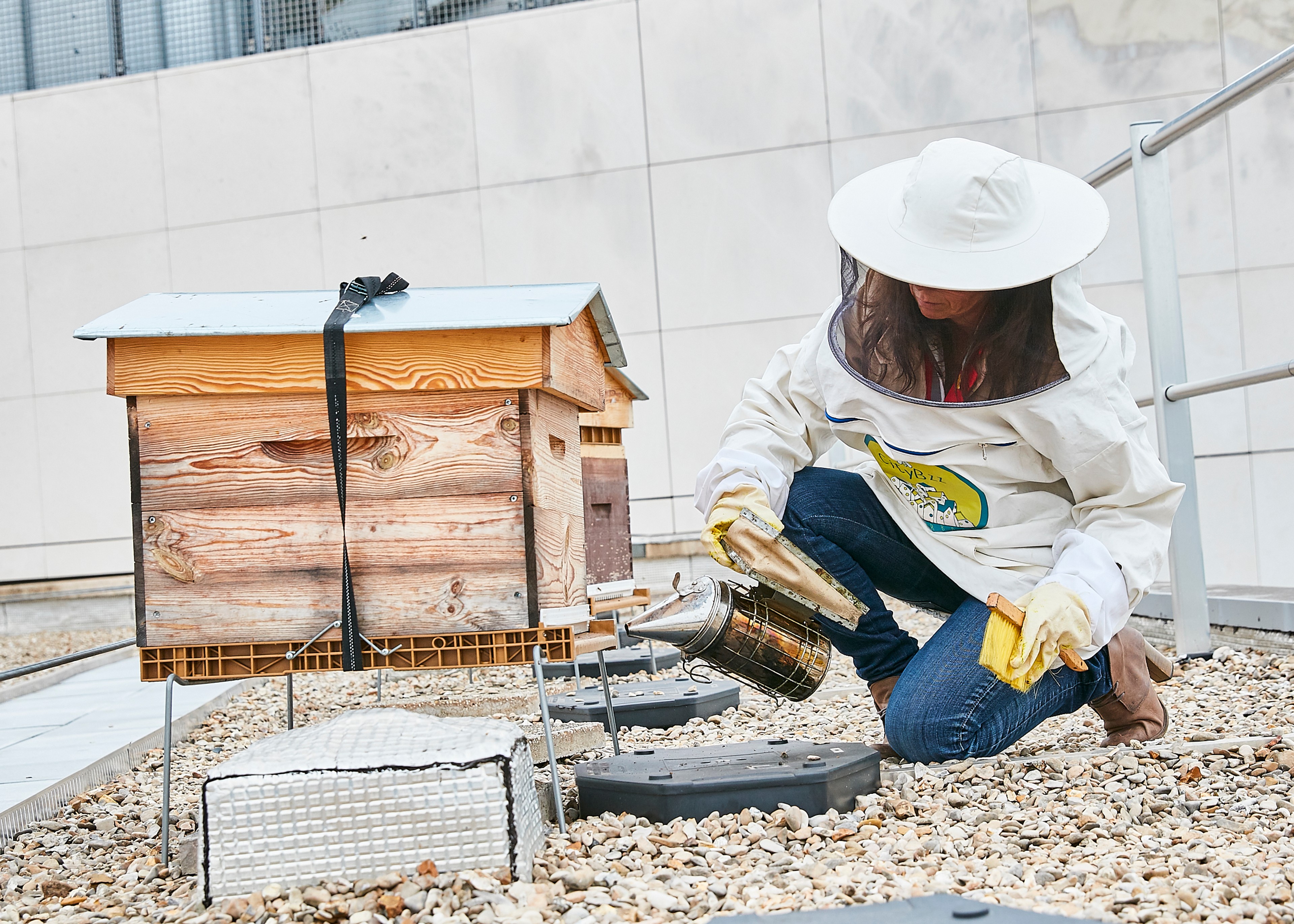 Person in protective clothes working with a beehive