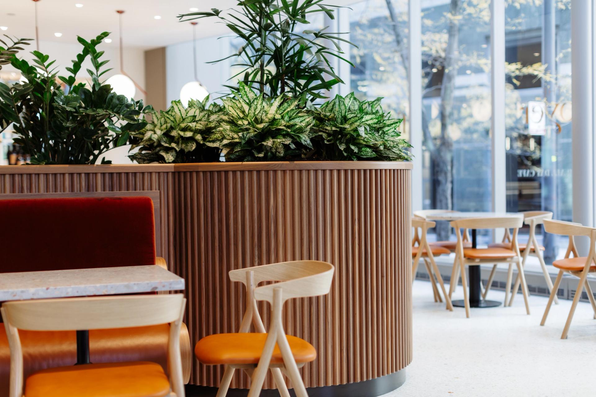 Modern café seating area at 525 West Monroe with wooden chairs, orange cushions, and a large circular planter filled with lush green plants by floor-to-ceiling windows.