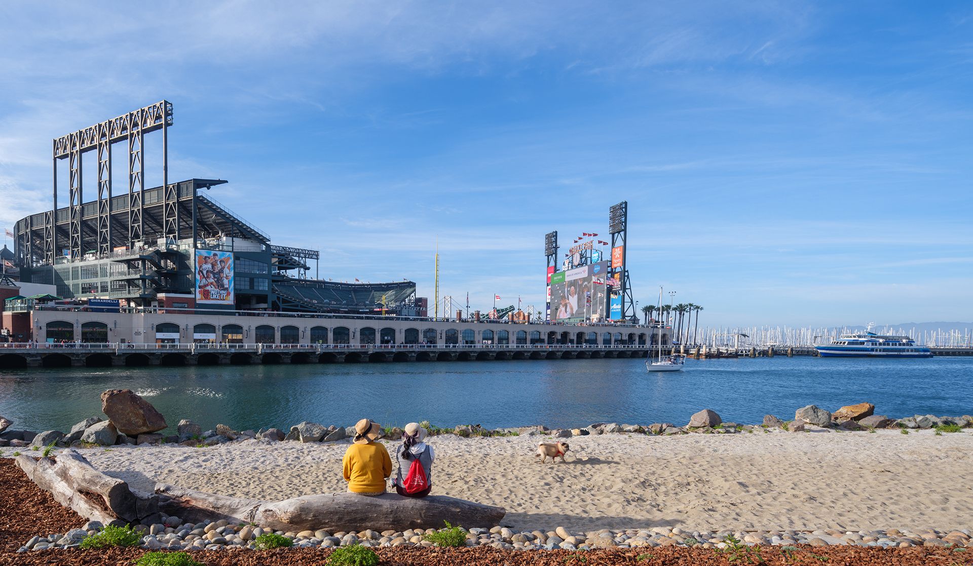 Shoreline Sands: A spacious area for recreation and lounging