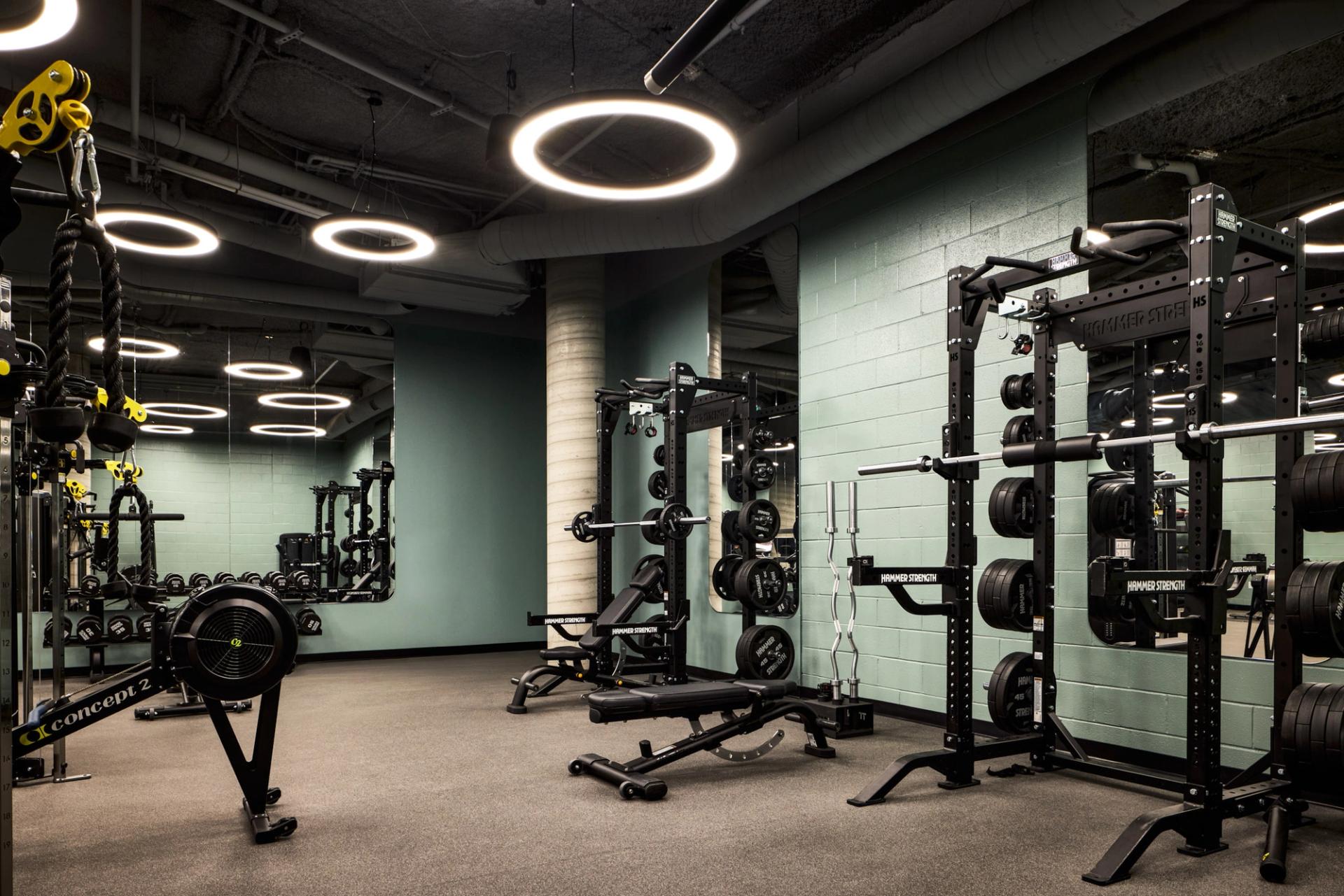 The fitness center at Verra Apartments for rent in Boston, MA, featuring cardio equipment and free weights.