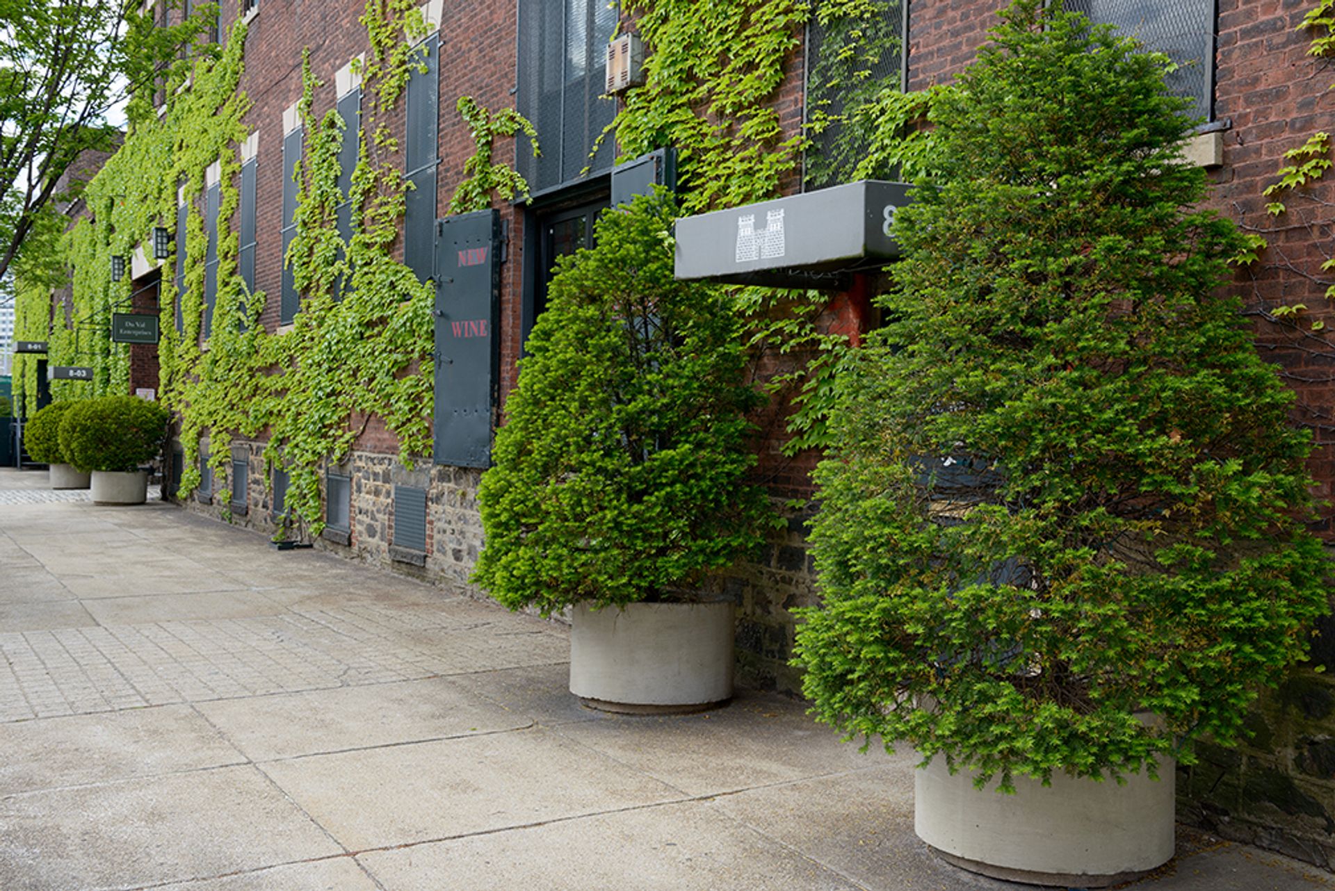 Image 07