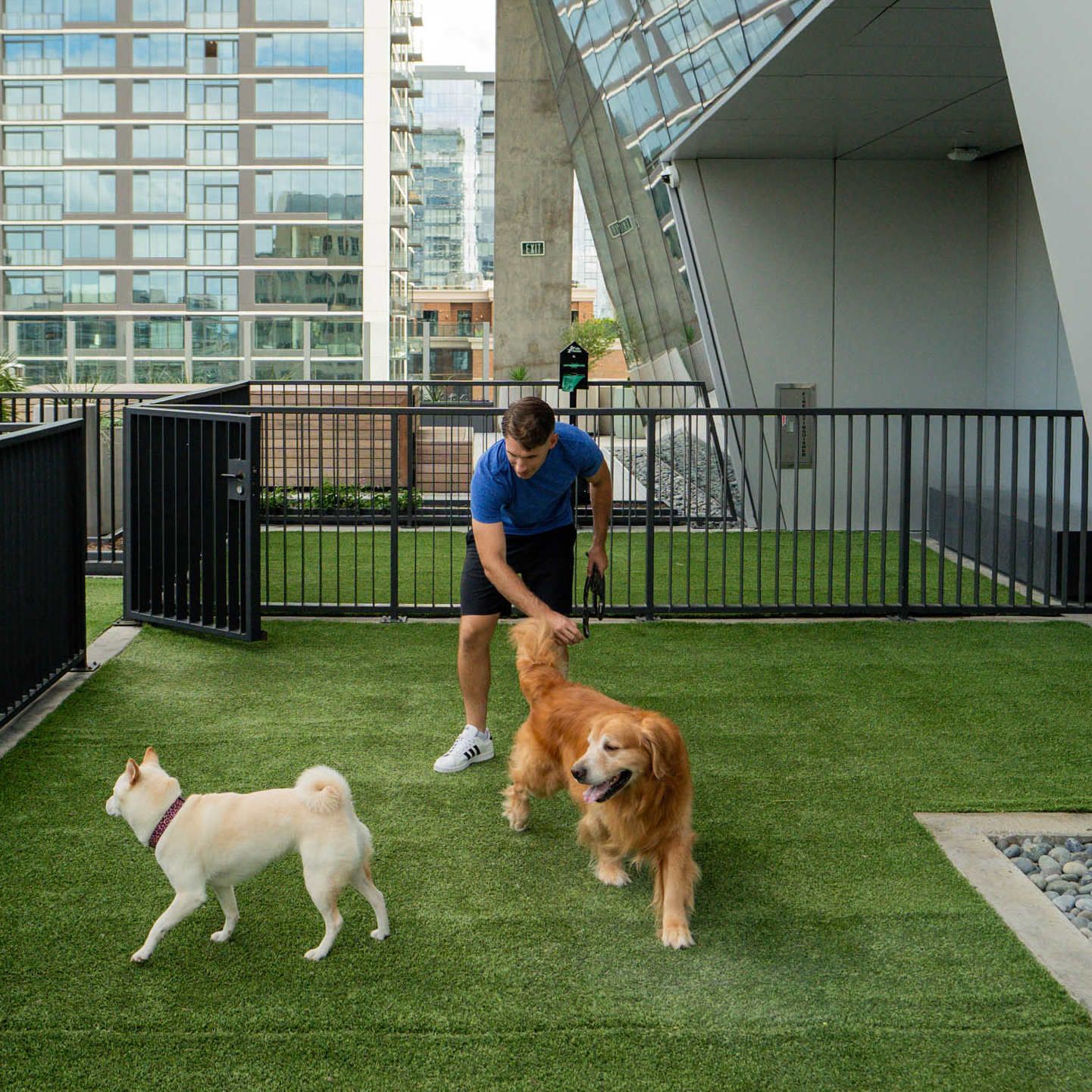 Dog park for residences of ATX Tower