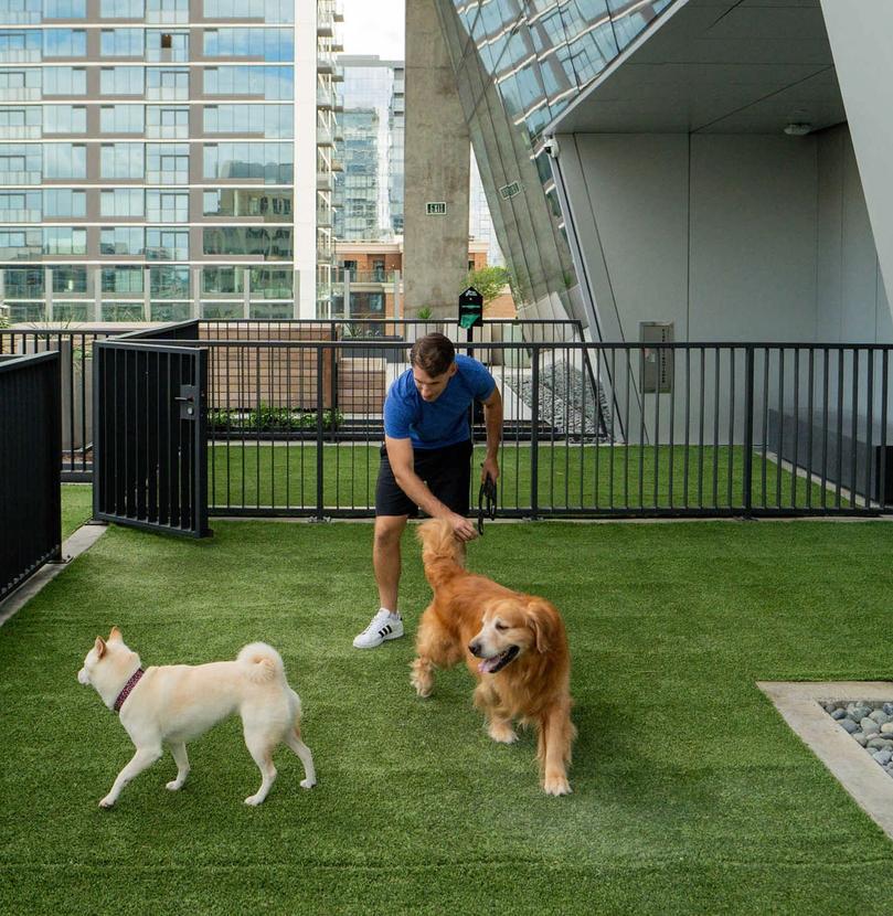 Dog park for residences of ATX Tower
