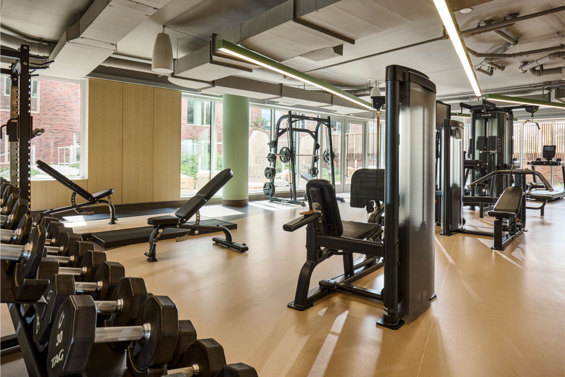 Apartment building fitness center with free weights, benches, weight machines, a squat rack, and large exterior windows.