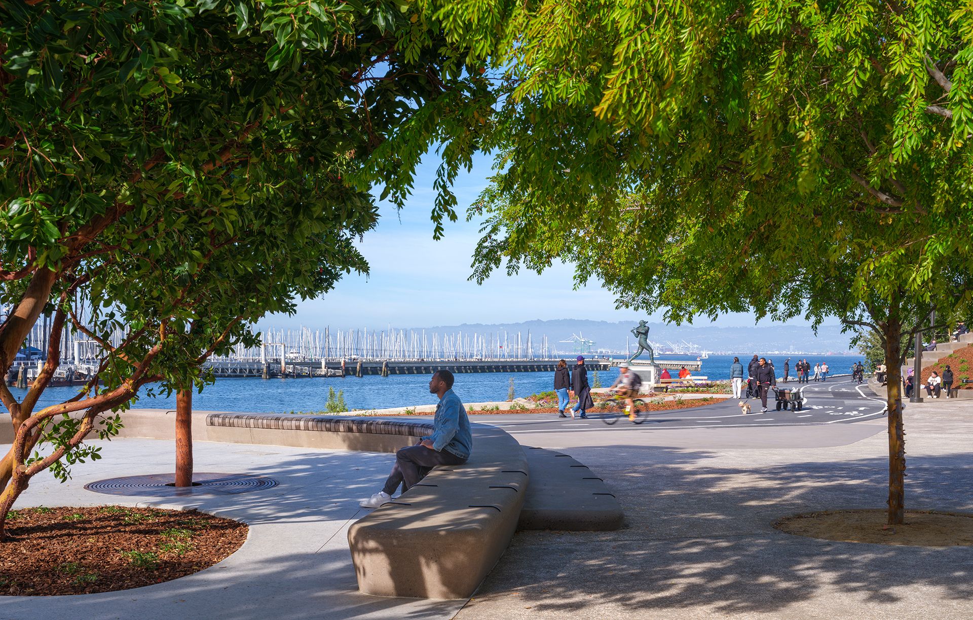 Gathering Grove: An intimate grove of marina strawberry trees