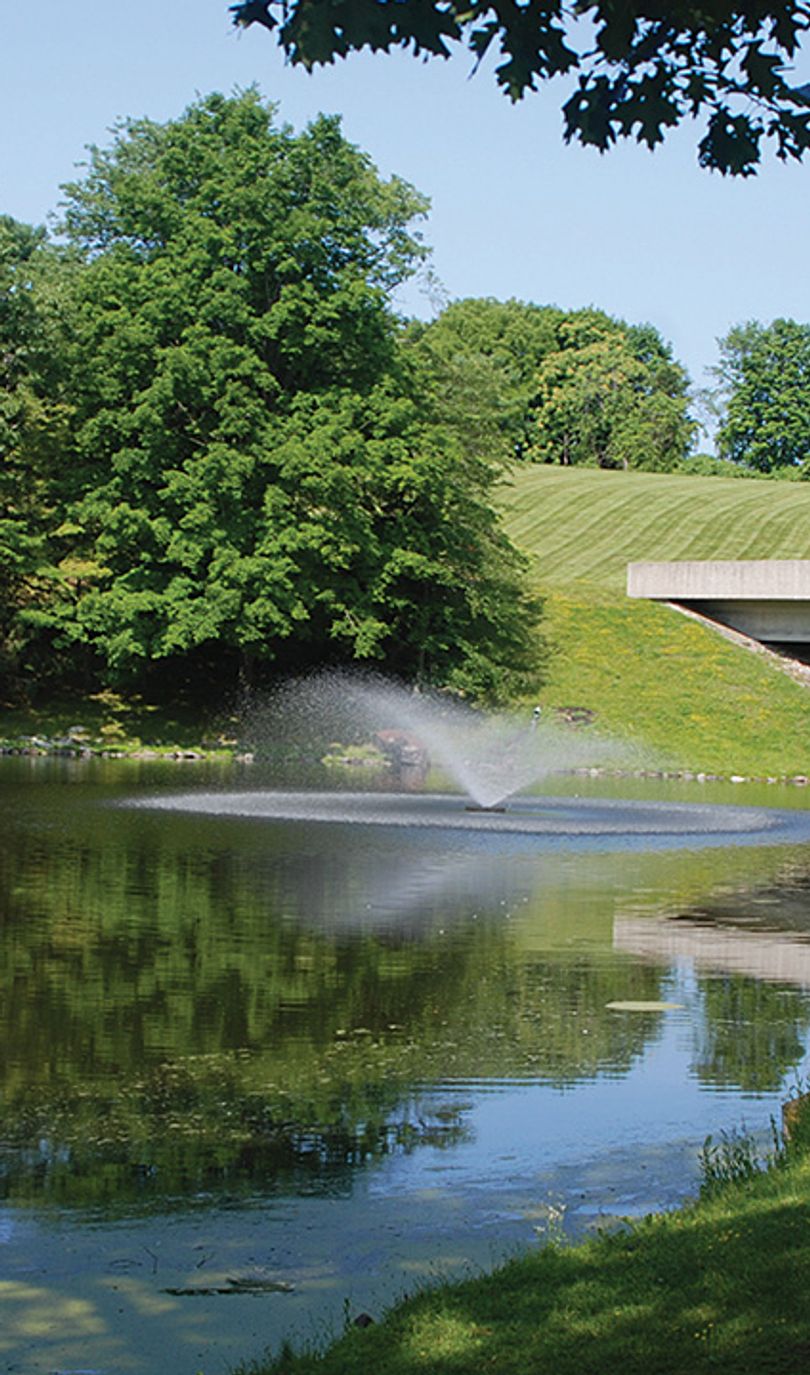 A serene park scene features a large body of water with a concrete bridge, a fountain, and lush greenery, all under a clear blue sky.