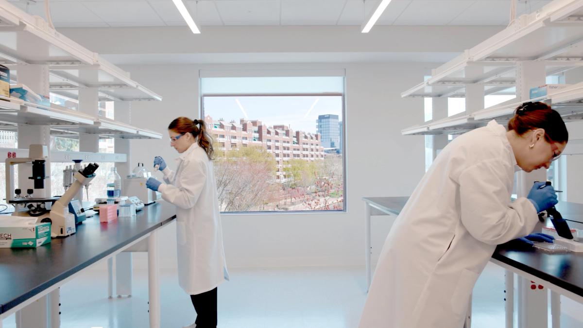 Clean white laboratory with modern workstations and linear lighting