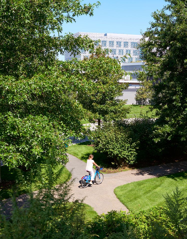 Person riding a bicycle in a park