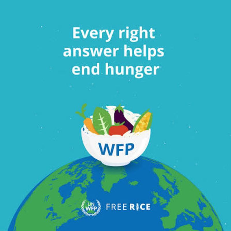 Bowl of food on top of the globe with the letters "WFP" and "Free Rice". Text above reads "Every right answer helps end hunger"