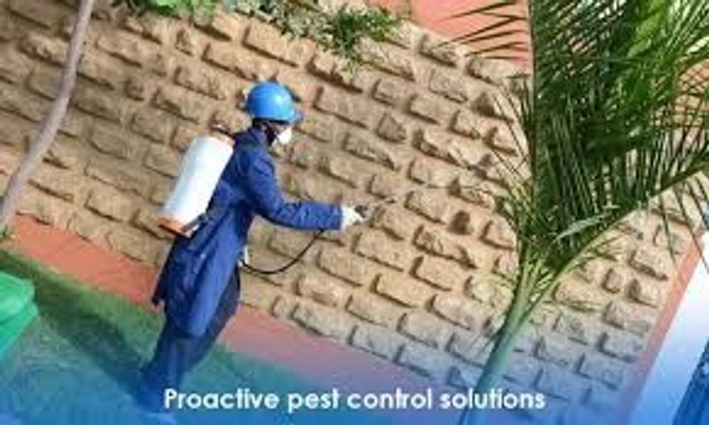 Pest Control