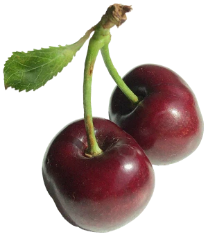 Two dark red cherries connected by a green stem, with a single green leaf attached.