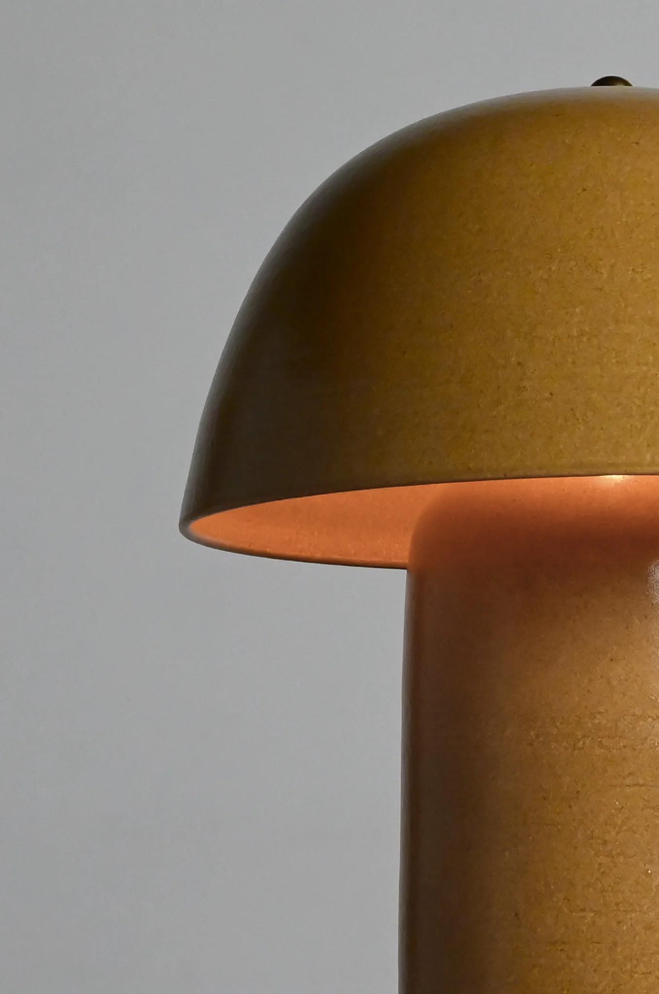 Close-up of a modern, brown lamp with a round shade and a warm glow, set against a light gray background.