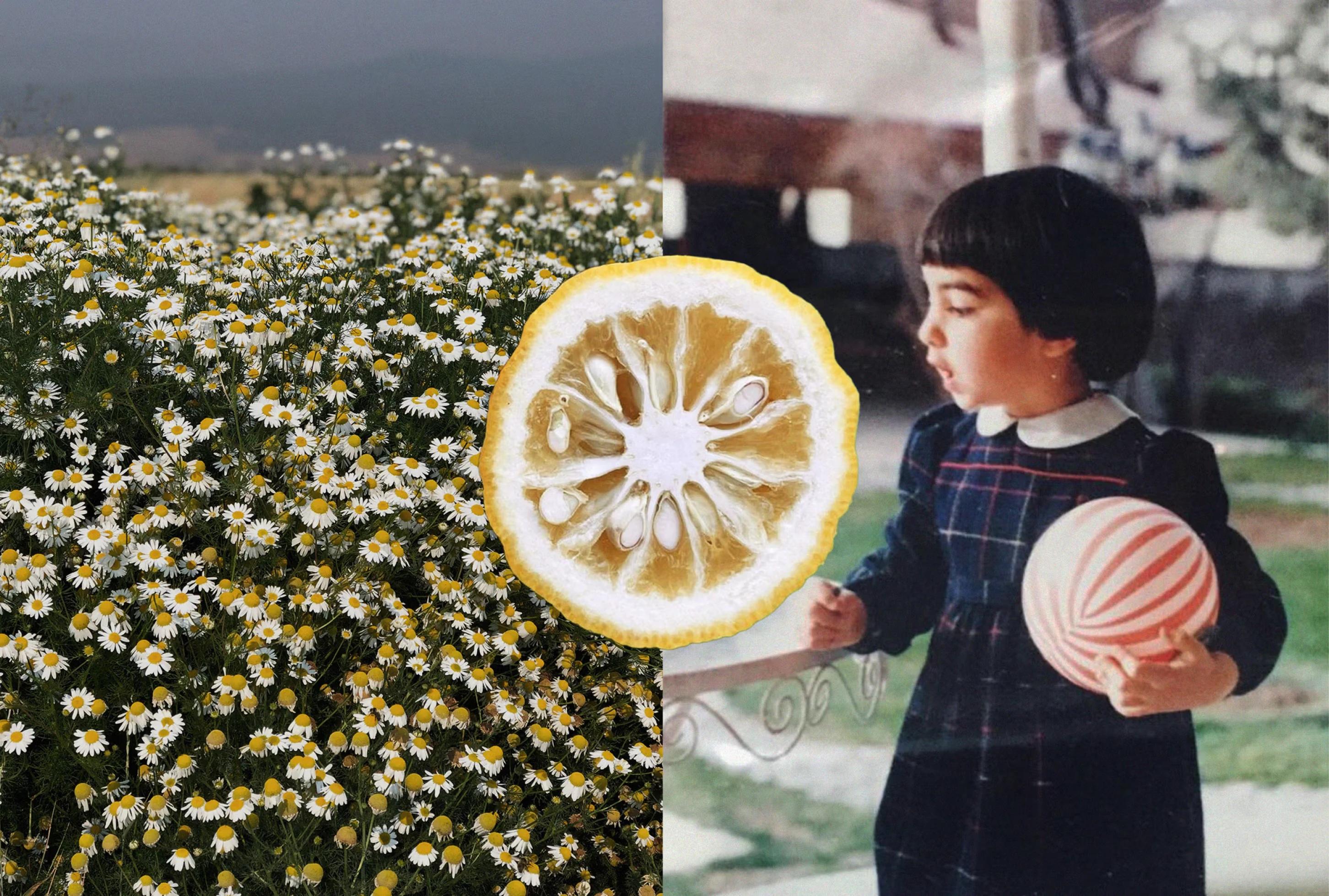 A collage featuring a field of daisies, a sliced lemon, and a girl in a plaid dress holding a striped ball.