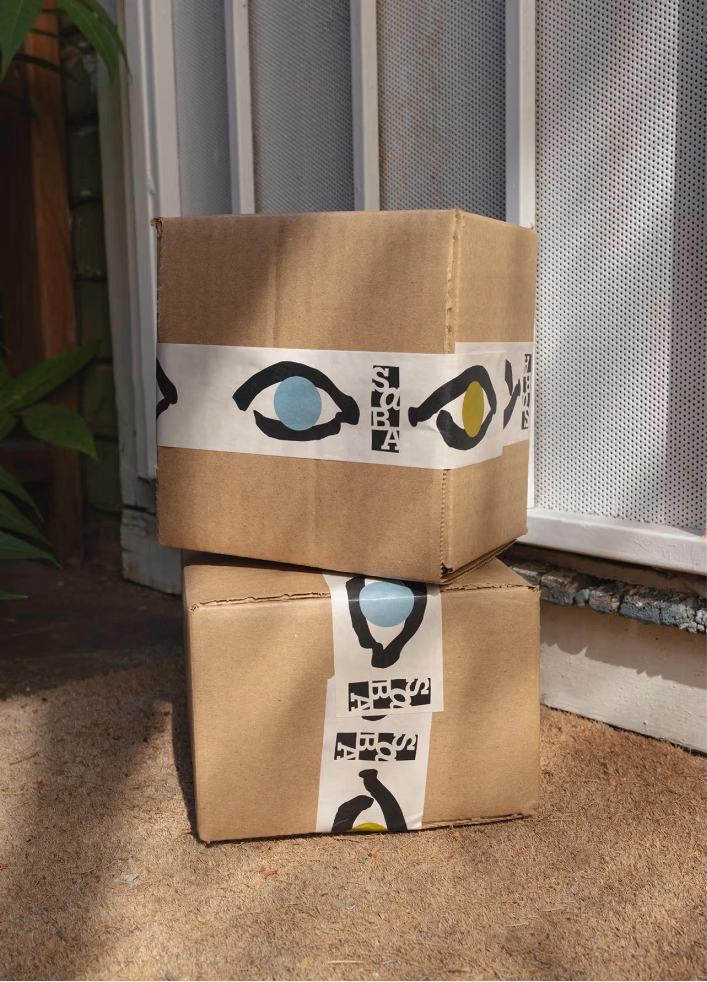 Two stacked cardboard boxes with artistic eye designs and labels near a door, surrounded by a natural setting.