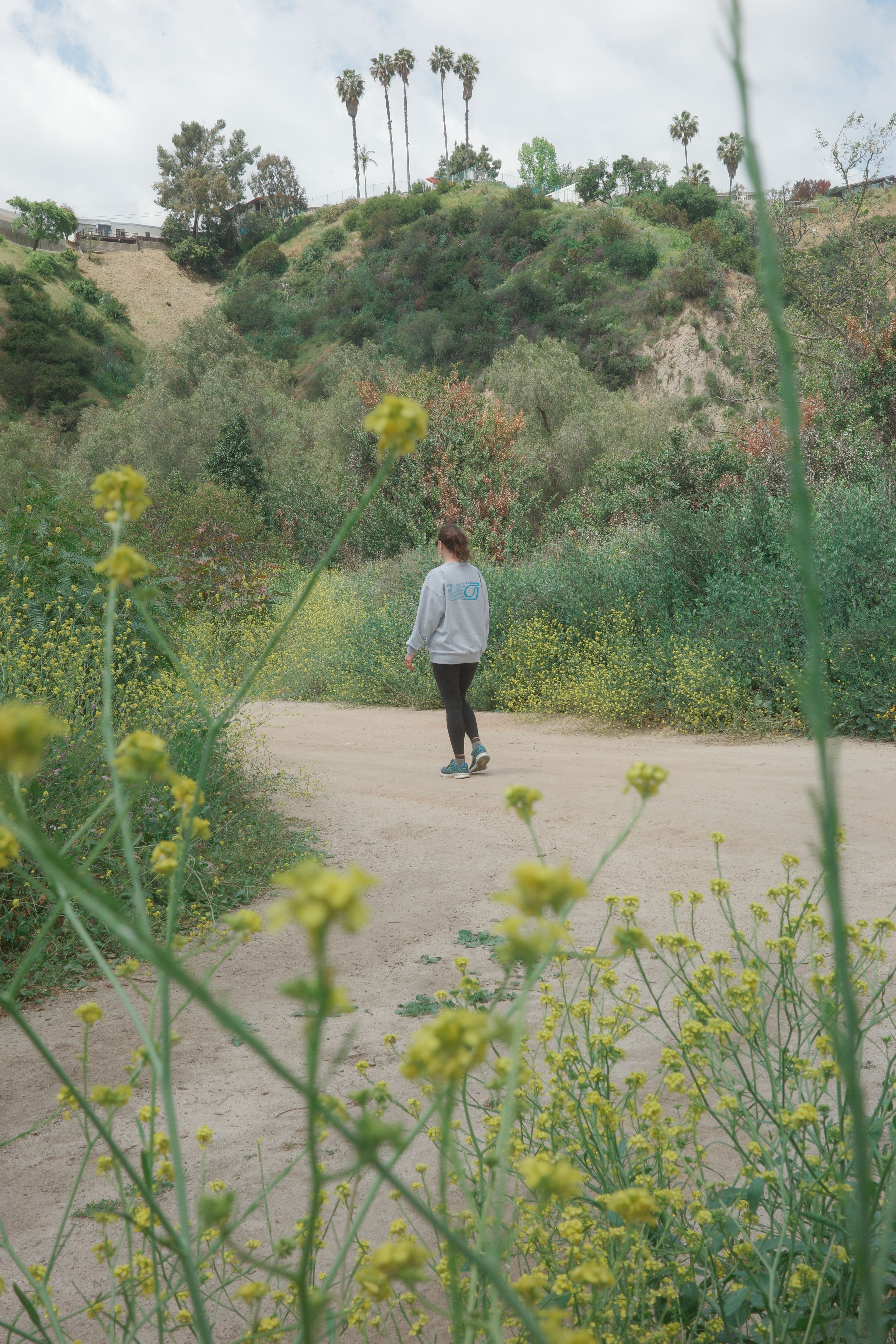 A person walks along a dirt path surrounded by wildflowers and greenery, with palm trees on a hillside in the background.