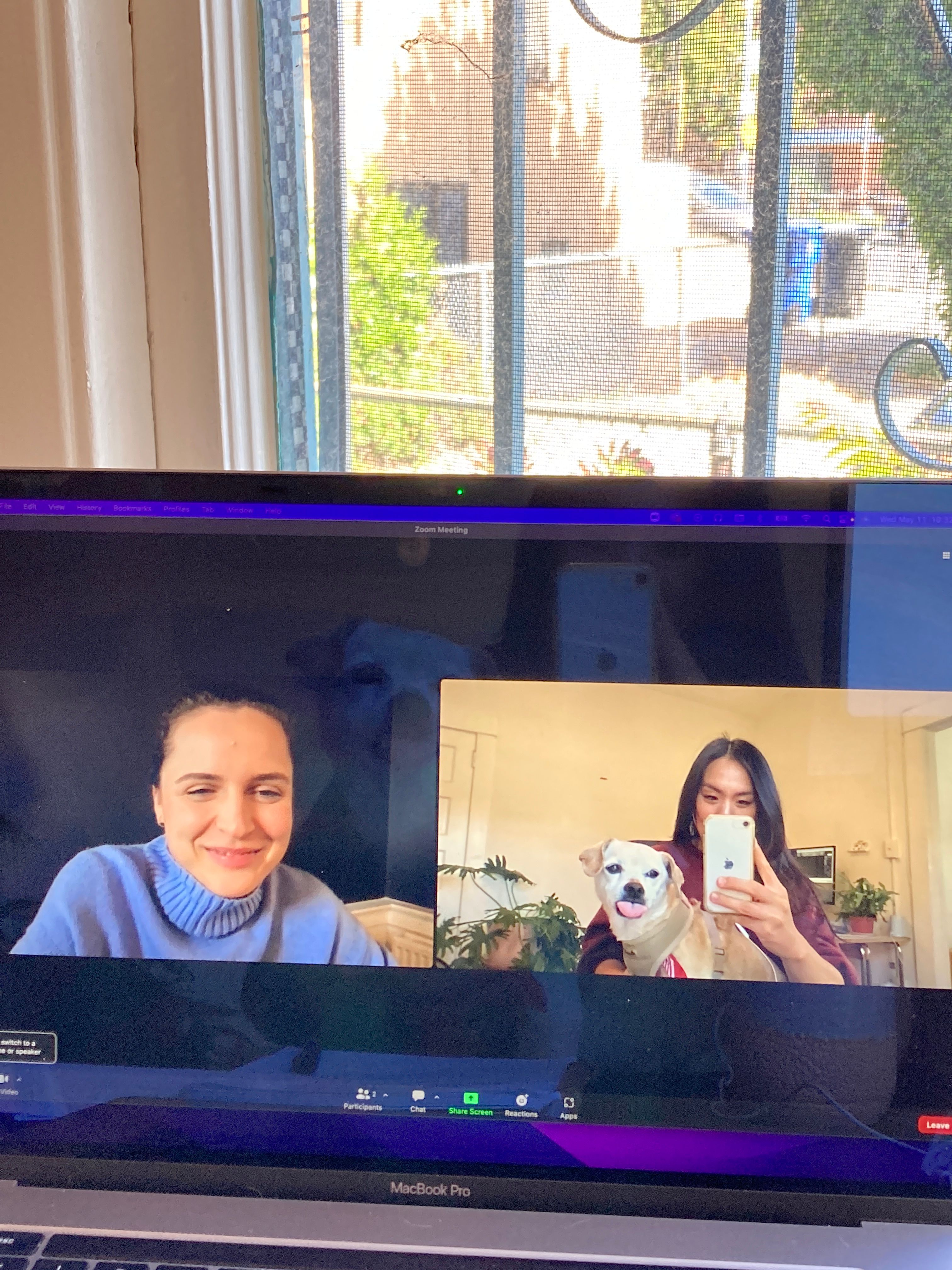 Two women on a video call; one smiles while the other holds a dog in a cozy indoor setting with plants.