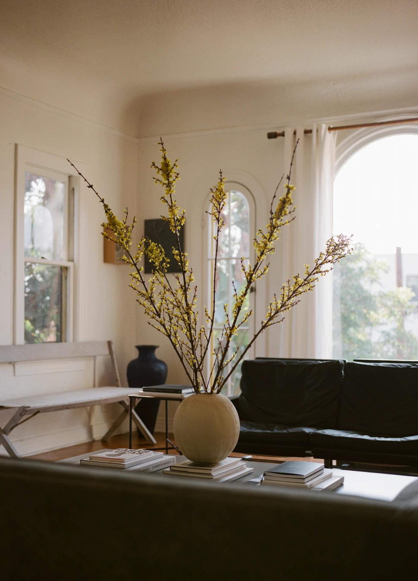 A modern living room featuring a vase with yellow branches, a coffee table with books, and a black leather sofa.