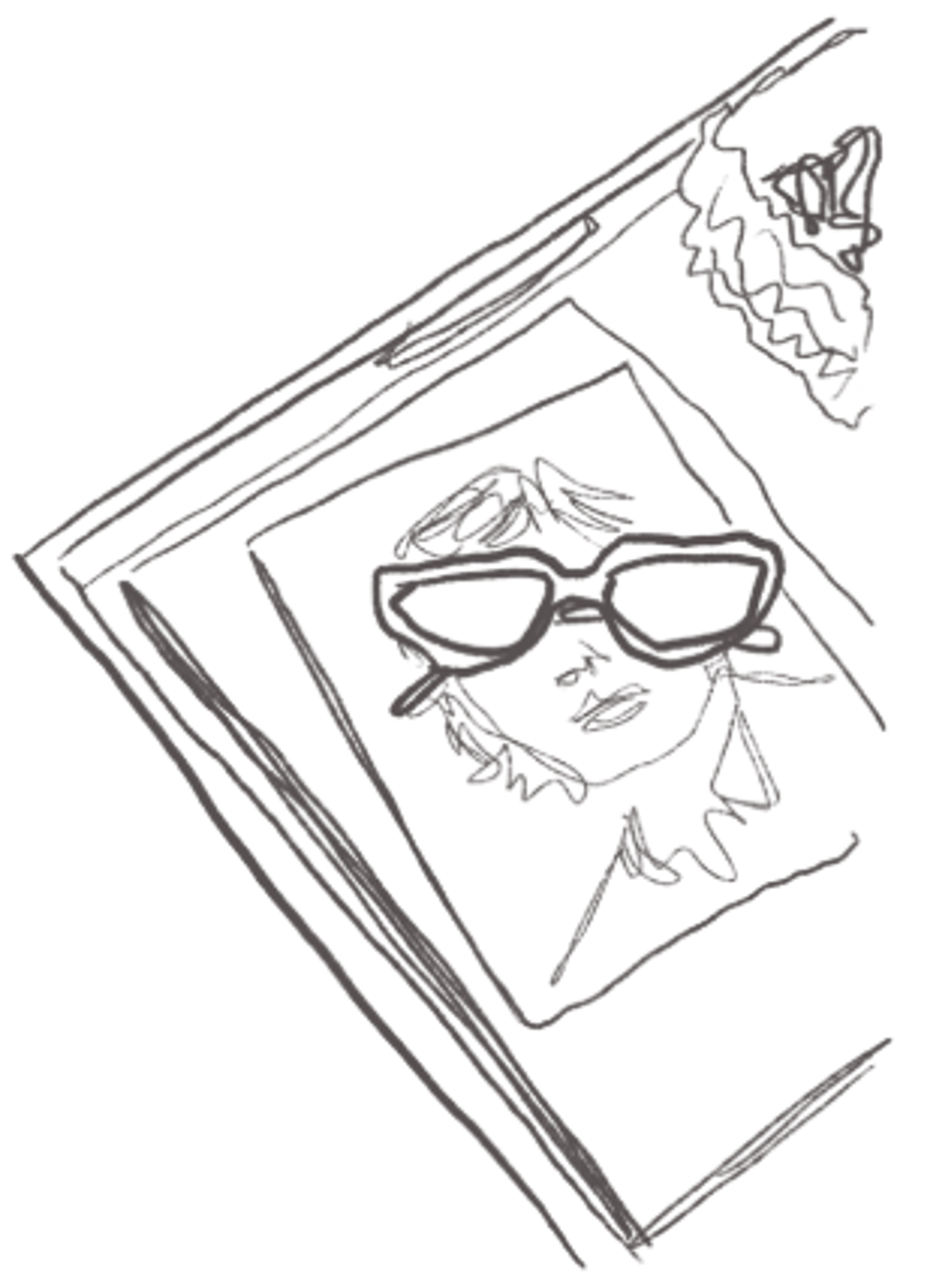 A dark silhouette of a face with prominent features against a contrasting background.