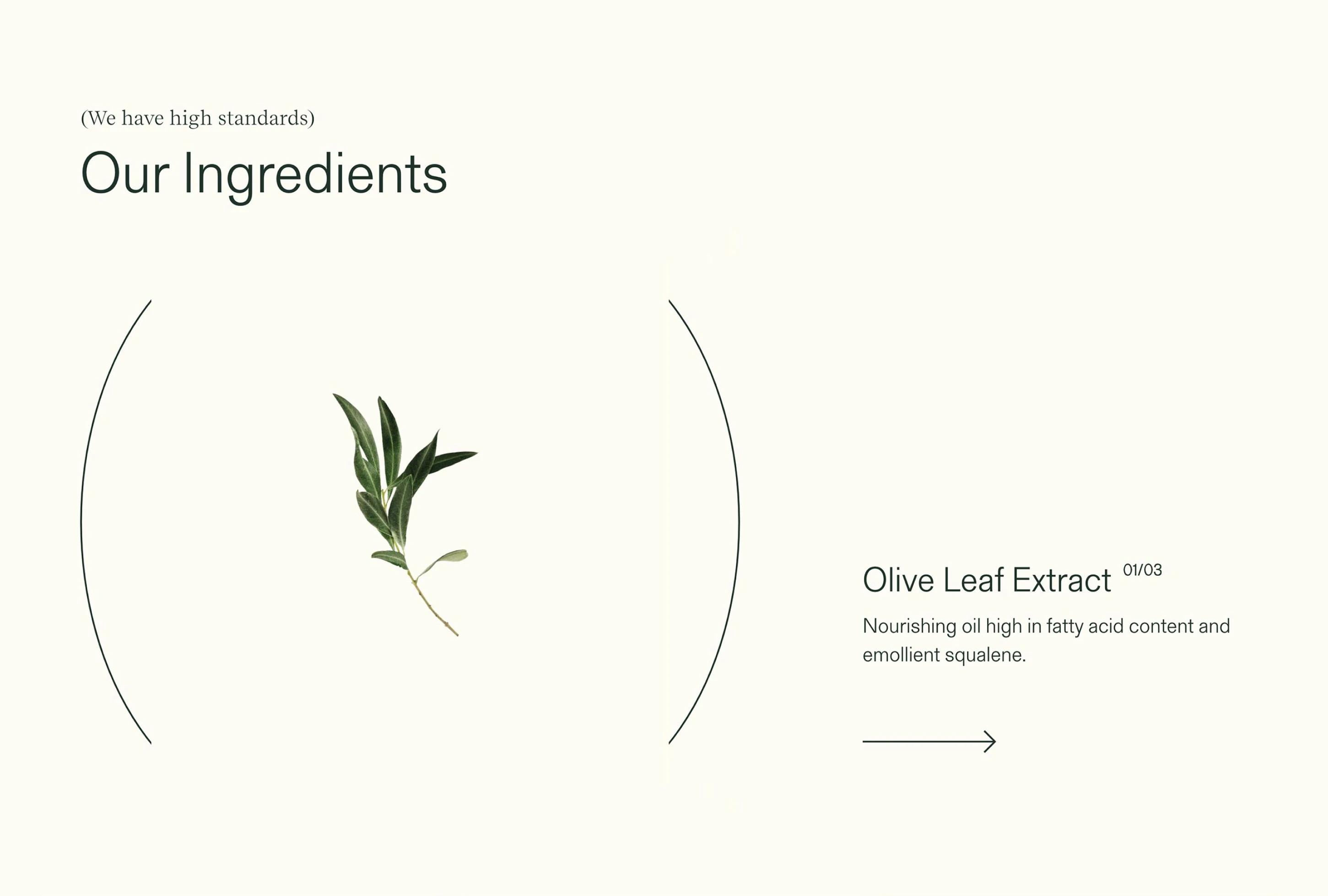 A sprig of olive leaves alongside text explaining olive leaf extract's nourishing properties.