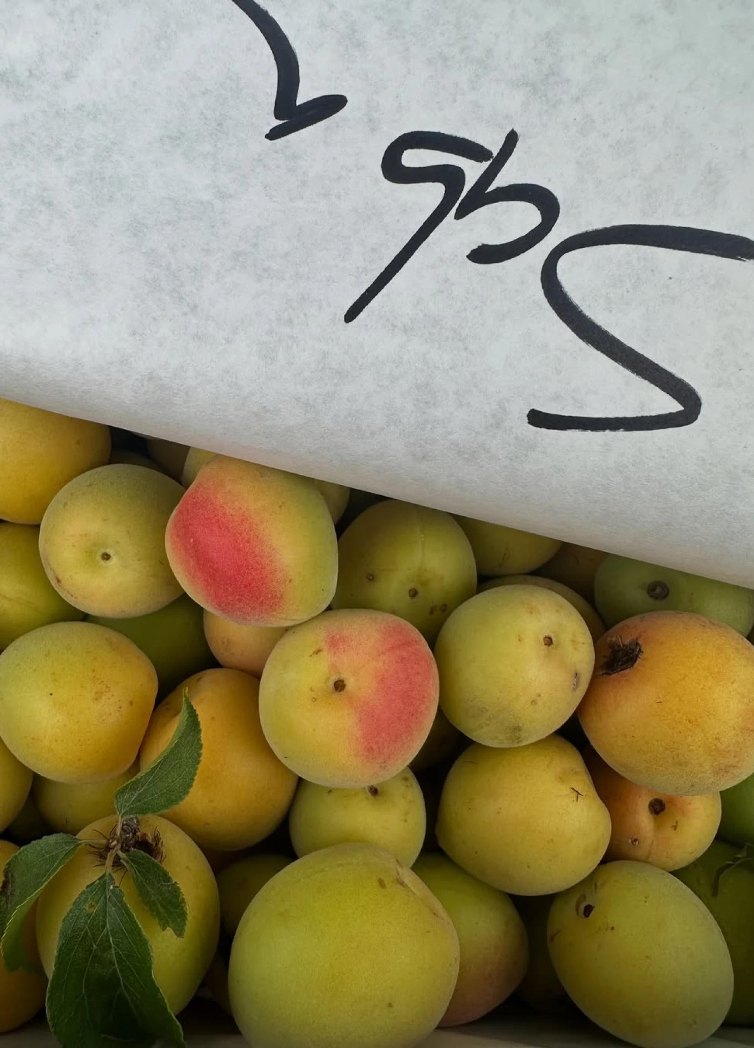 Yellow peaches with a hint of red are piled together, partially covered by white paper marked with handwritten text.