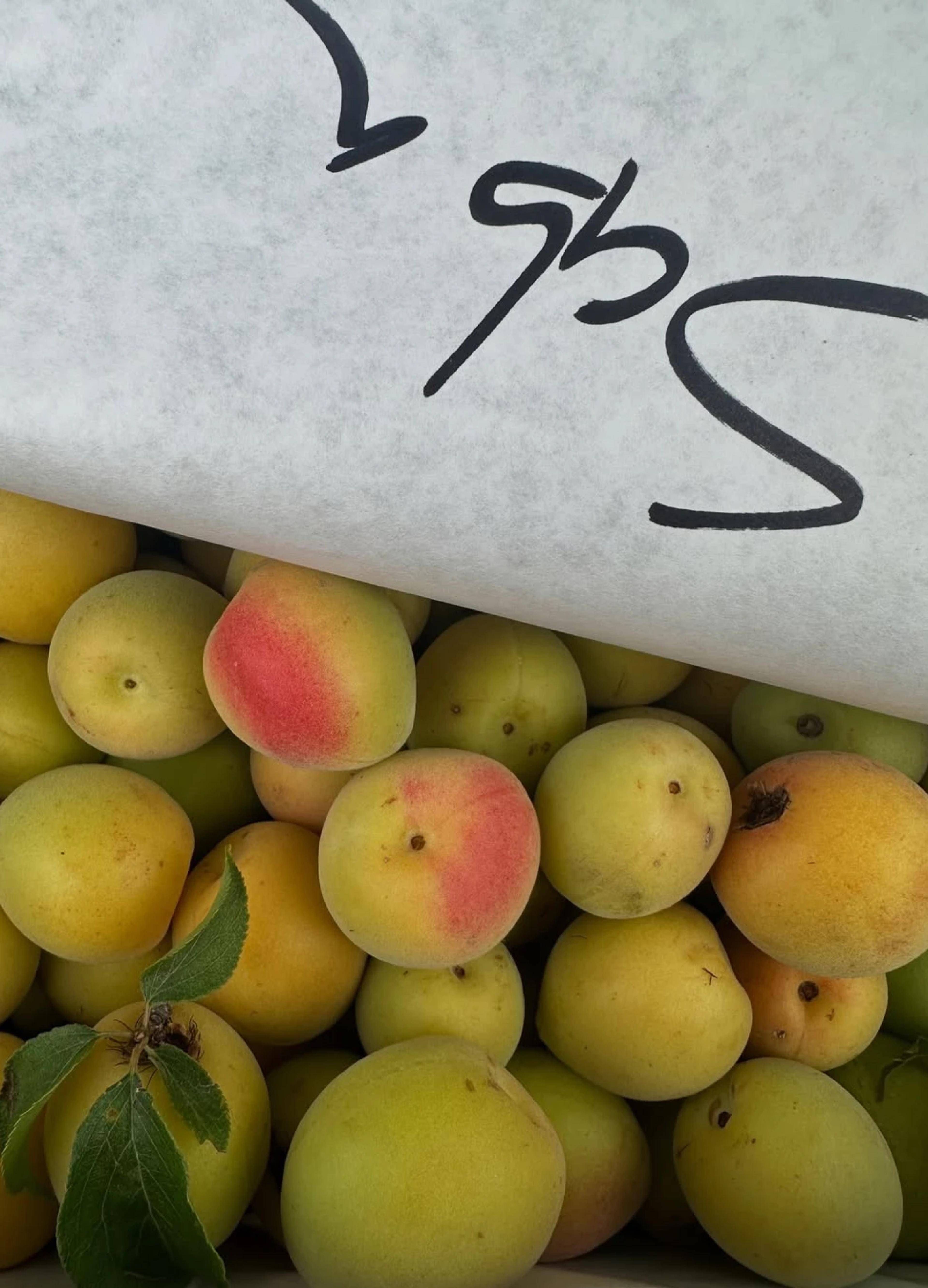 Yellow peaches with a hint of red are piled together, partially covered by white paper marked with handwritten text.