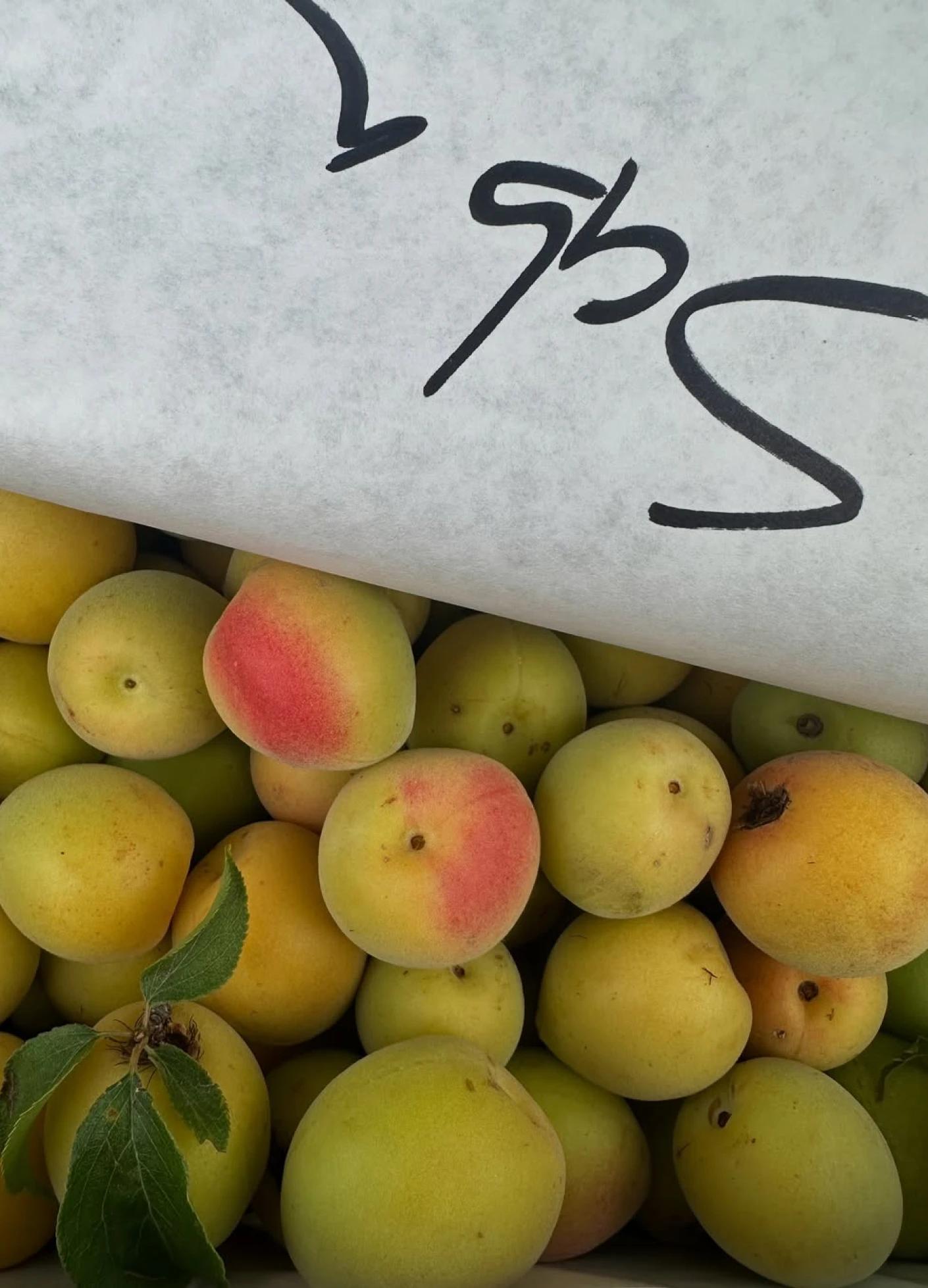 Yellow peaches with a hint of red are piled together, partially covered by white paper marked with handwritten text.