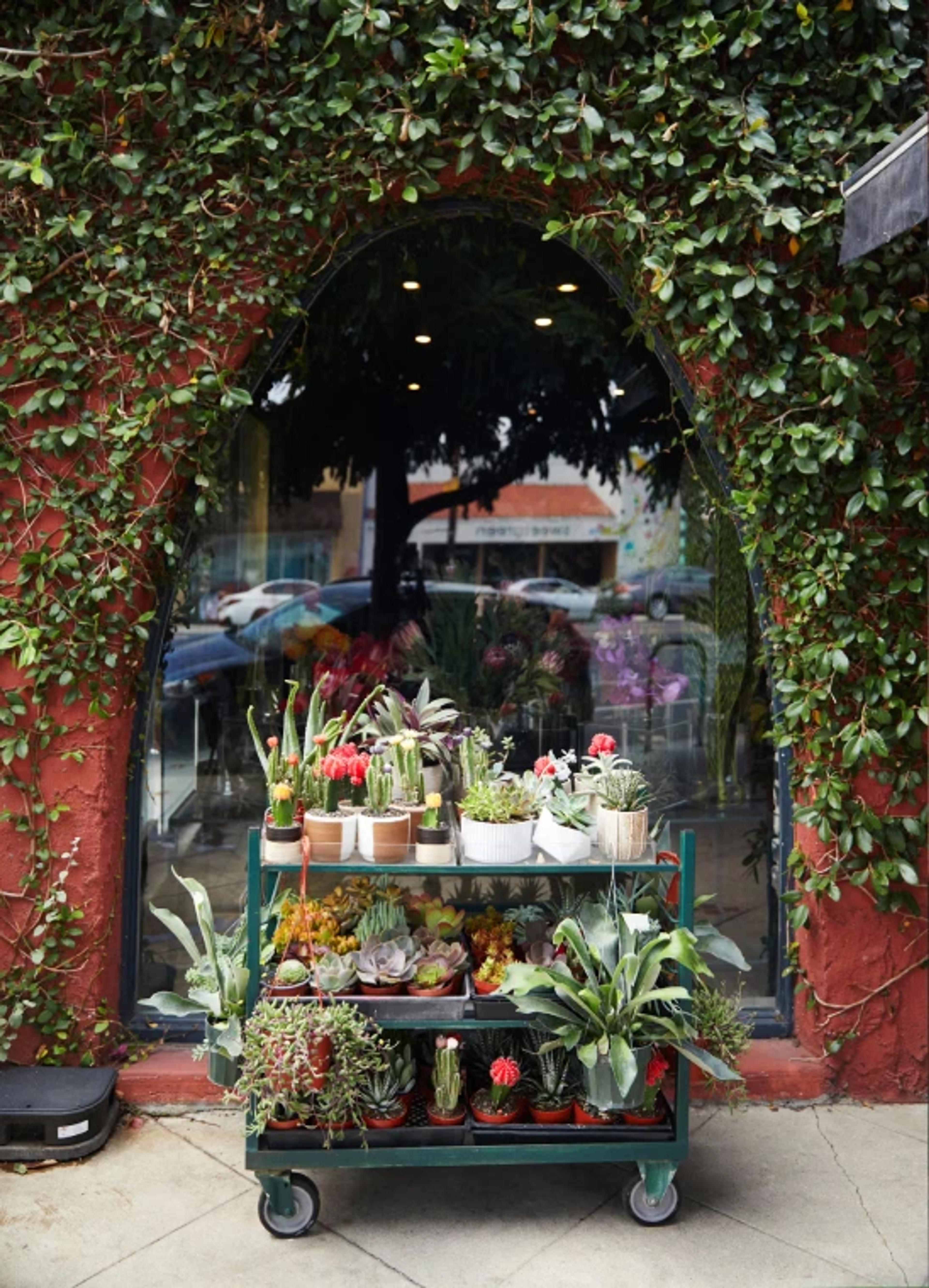 A cart filled with various potted plants and succulents sits against a wall of greenery and a large window.
