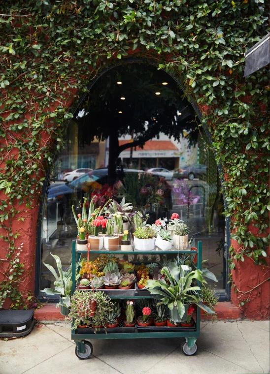 A cart filled with various potted plants and succulents sits against a wall of greenery and a large window.