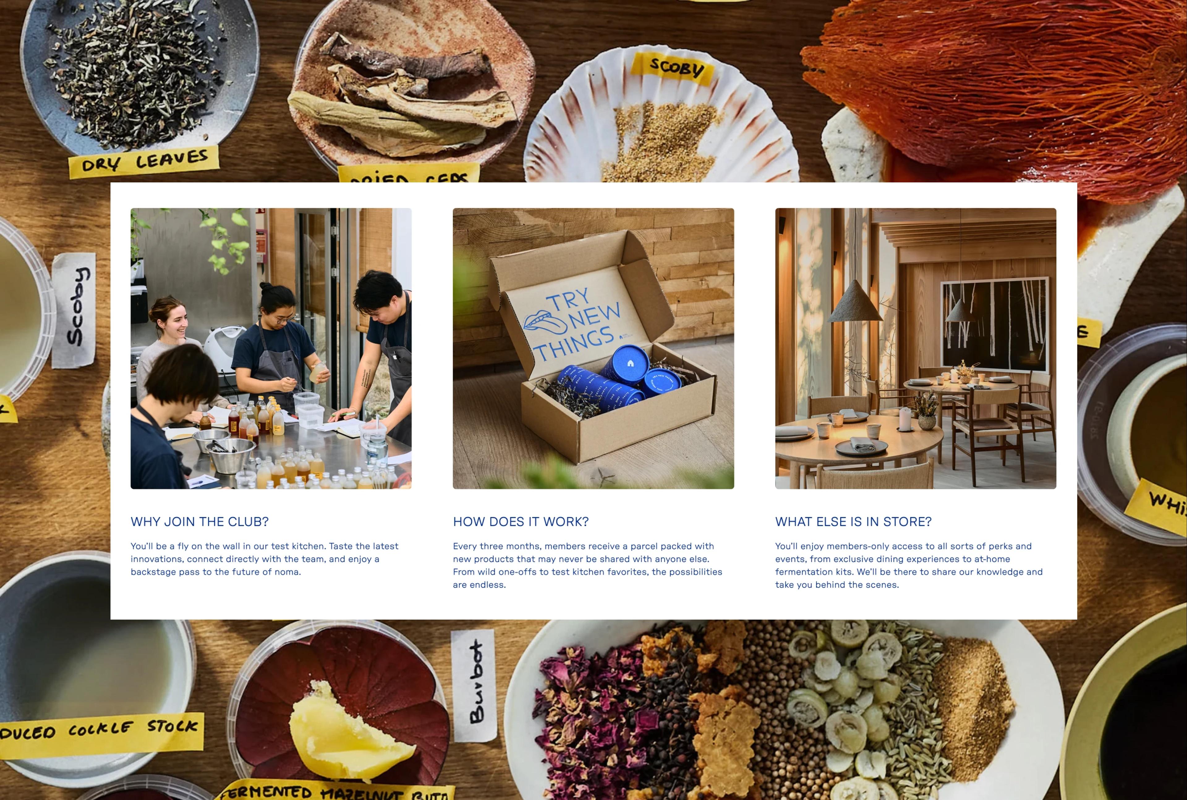 A workspace with ingredients for fermentation, featuring bowls of spices, herbs, and a group collaborating on a project.
