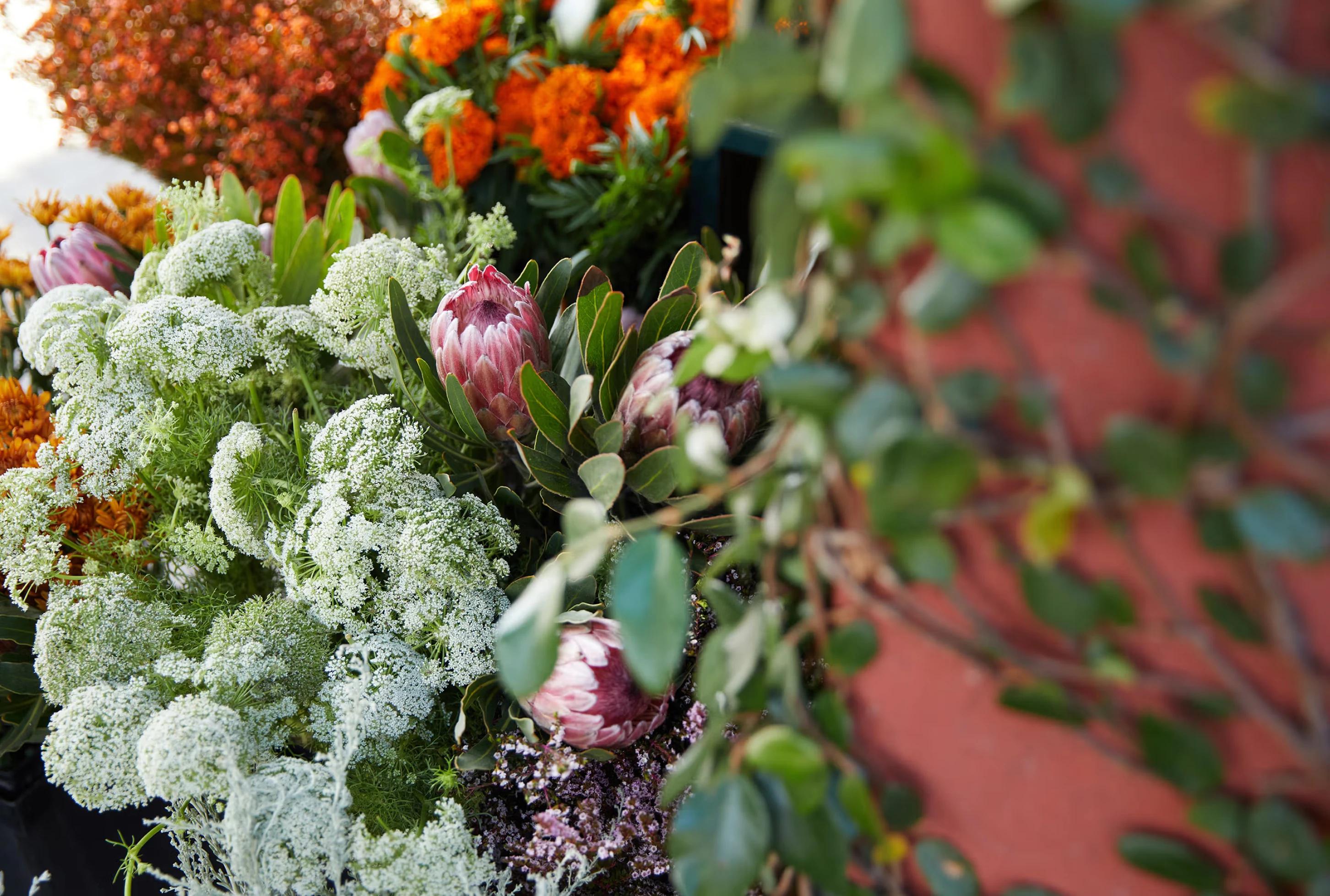 A vibrant display of flowers, featuring orange blooms, lush greenery, and protea flowers, against a rustic background.