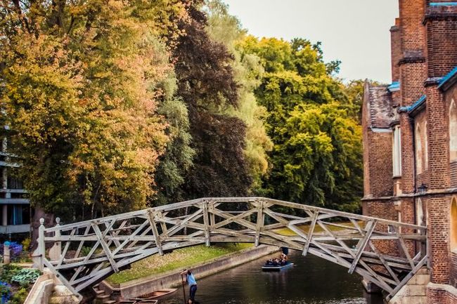 image-29730a454f099a8fed0bf0a9f3c66ddeadff6647-683x1024-jpg