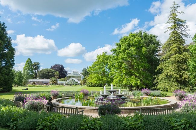 image-b219effde6e0c153f021f7873f78b2416f1675ec-7286x4863-jpg