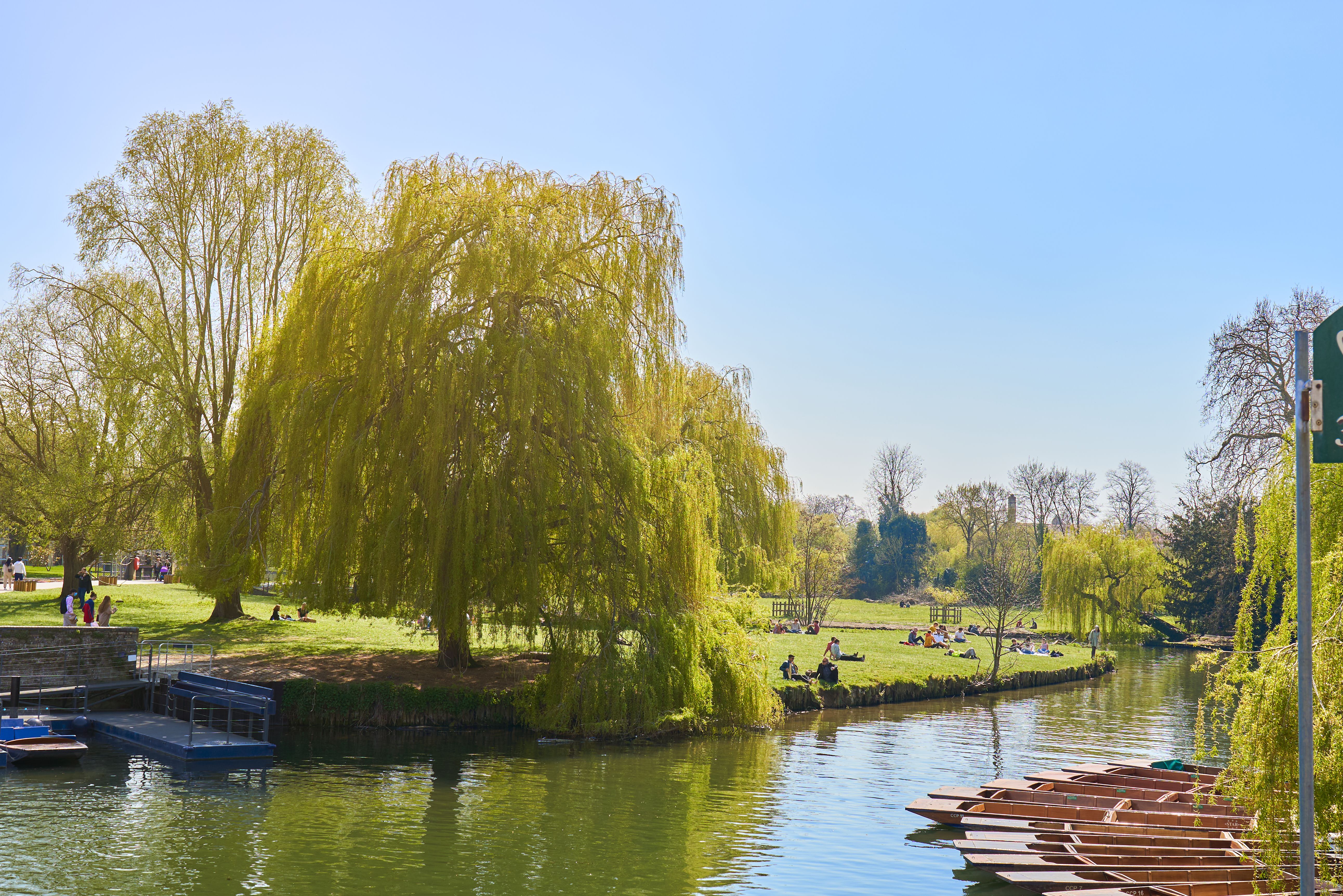 image-d6be200b2d84f1bf0f5613dde43941d84fd76d82-5168x3448-jpg