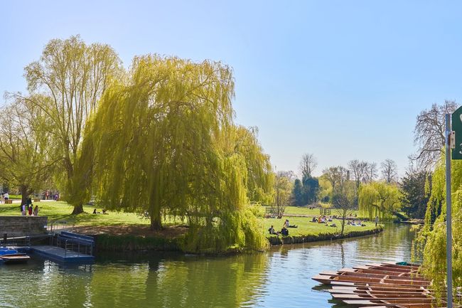 image-d6be200b2d84f1bf0f5613dde43941d84fd76d82-5168x3448-jpg